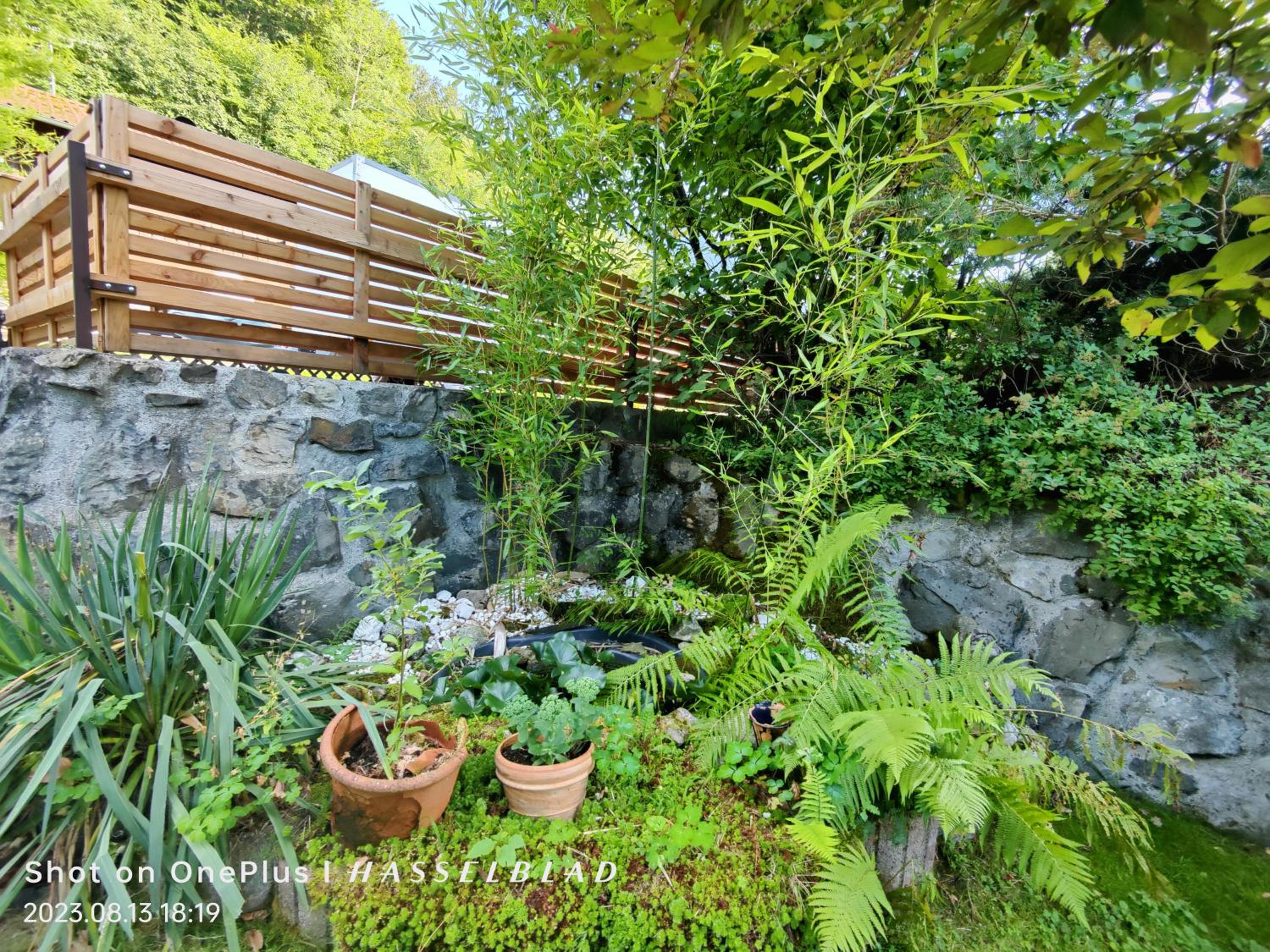 Apartment with Terrace - Photo 43