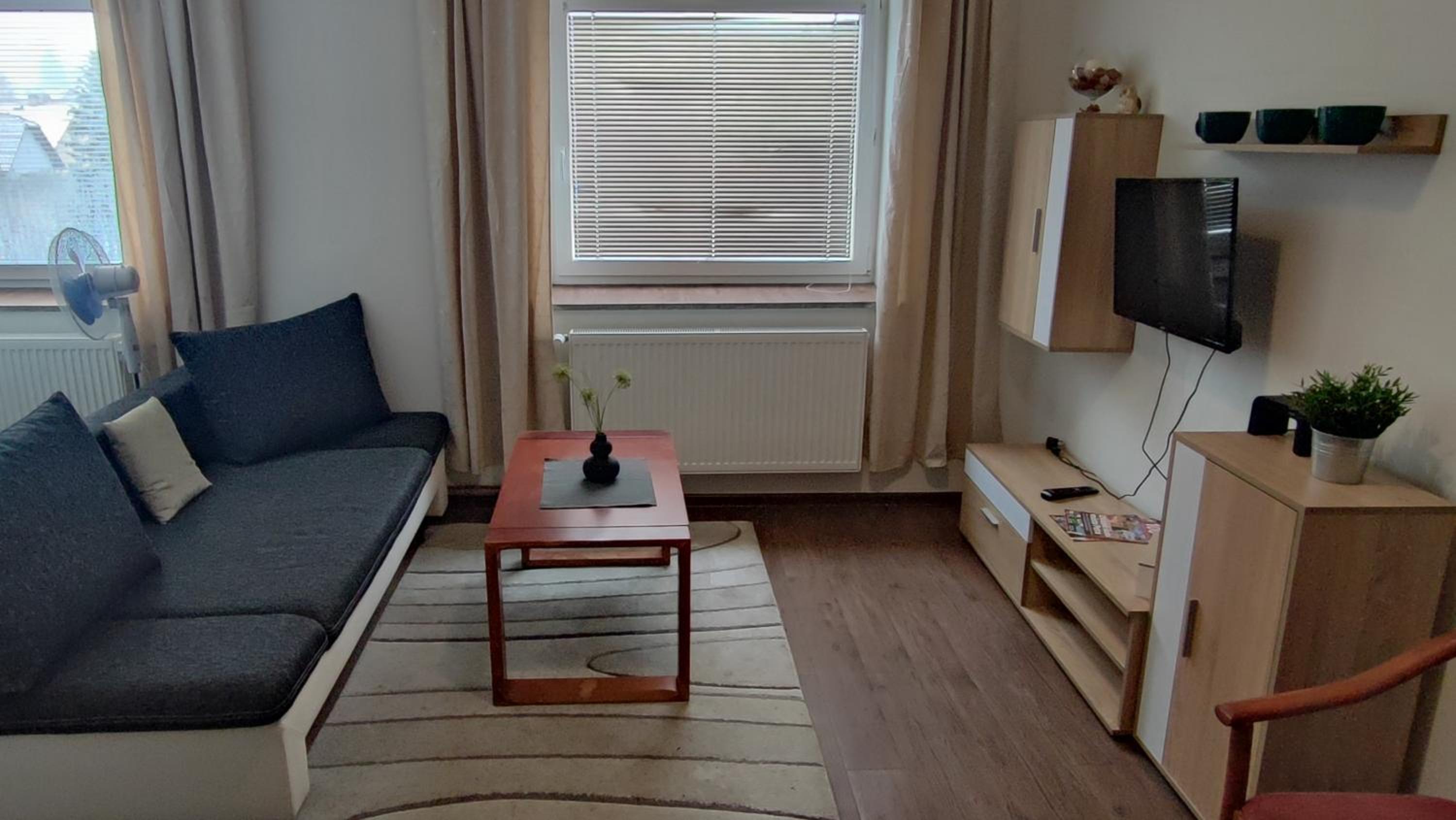 Standard Apartment photo 3