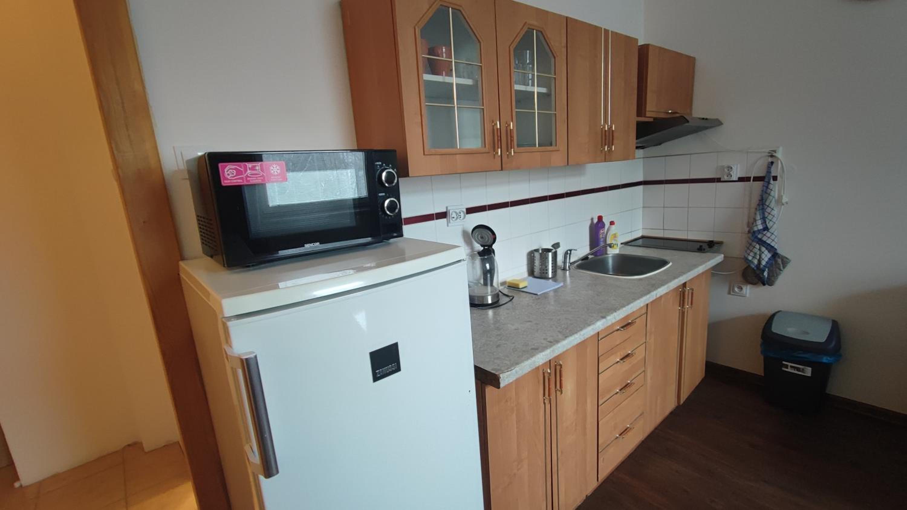 Standard Apartment photo 3
