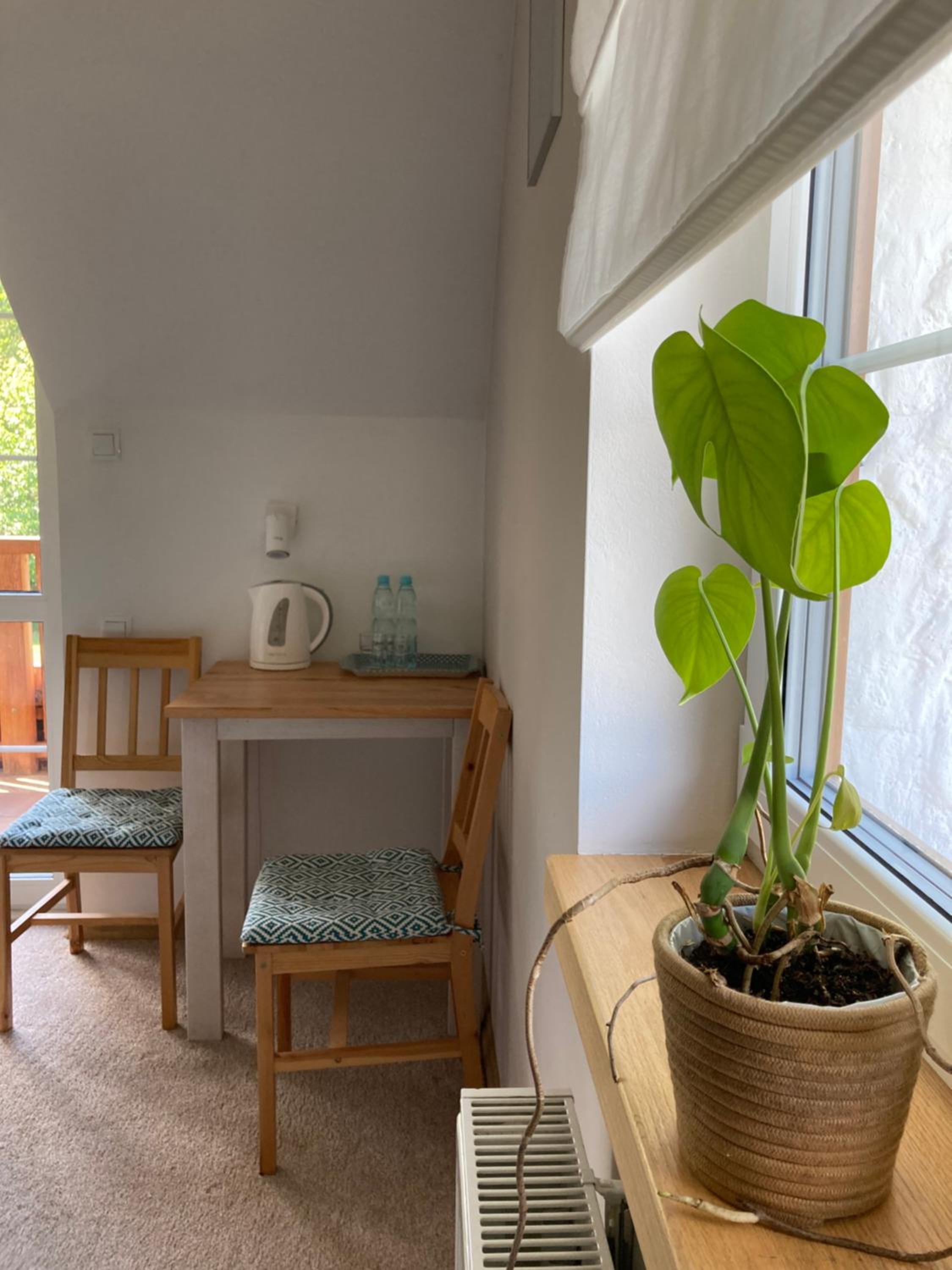 Apartment with Terrace photo 2