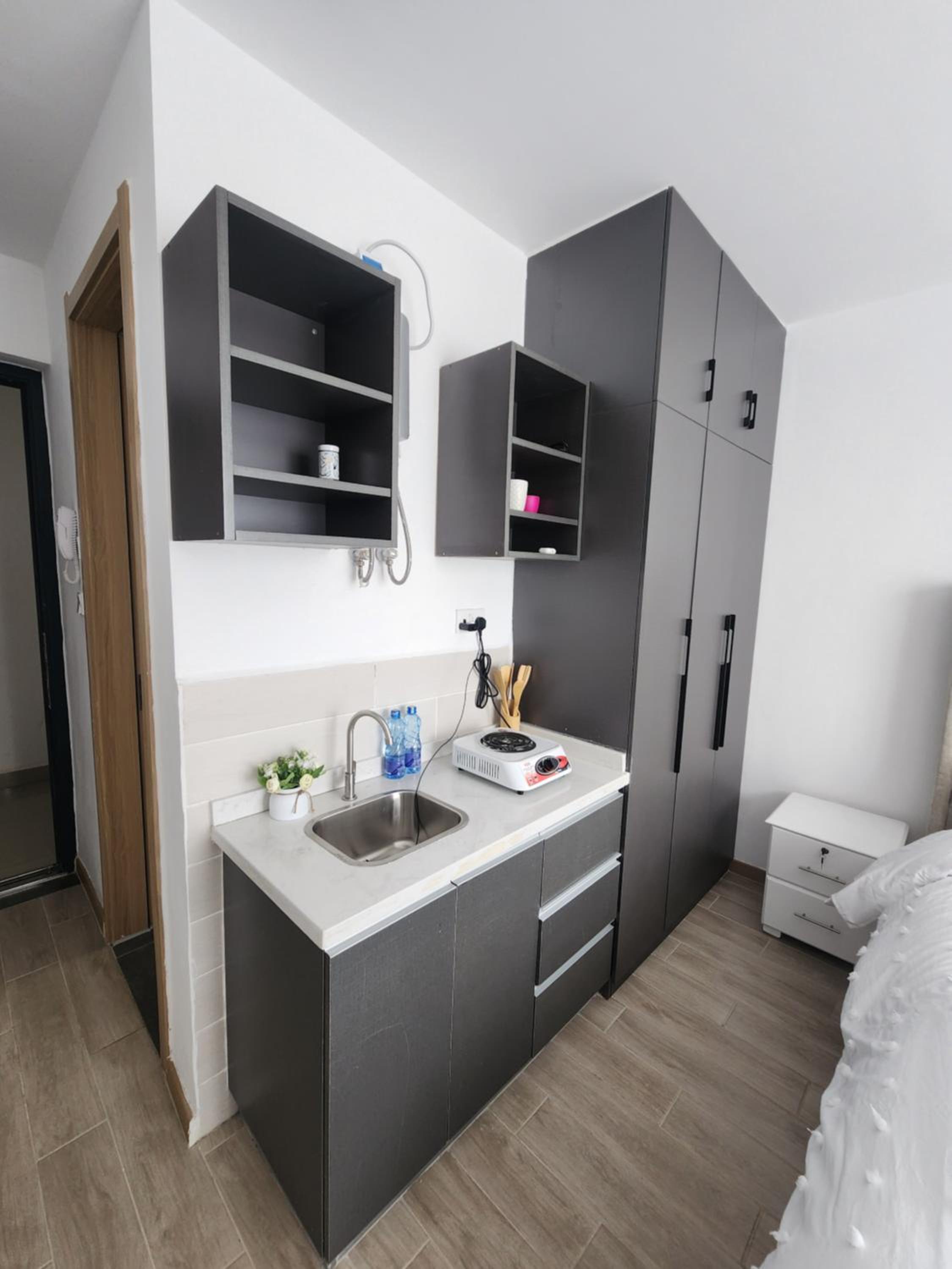One-Bedroom Apartment photo 2
