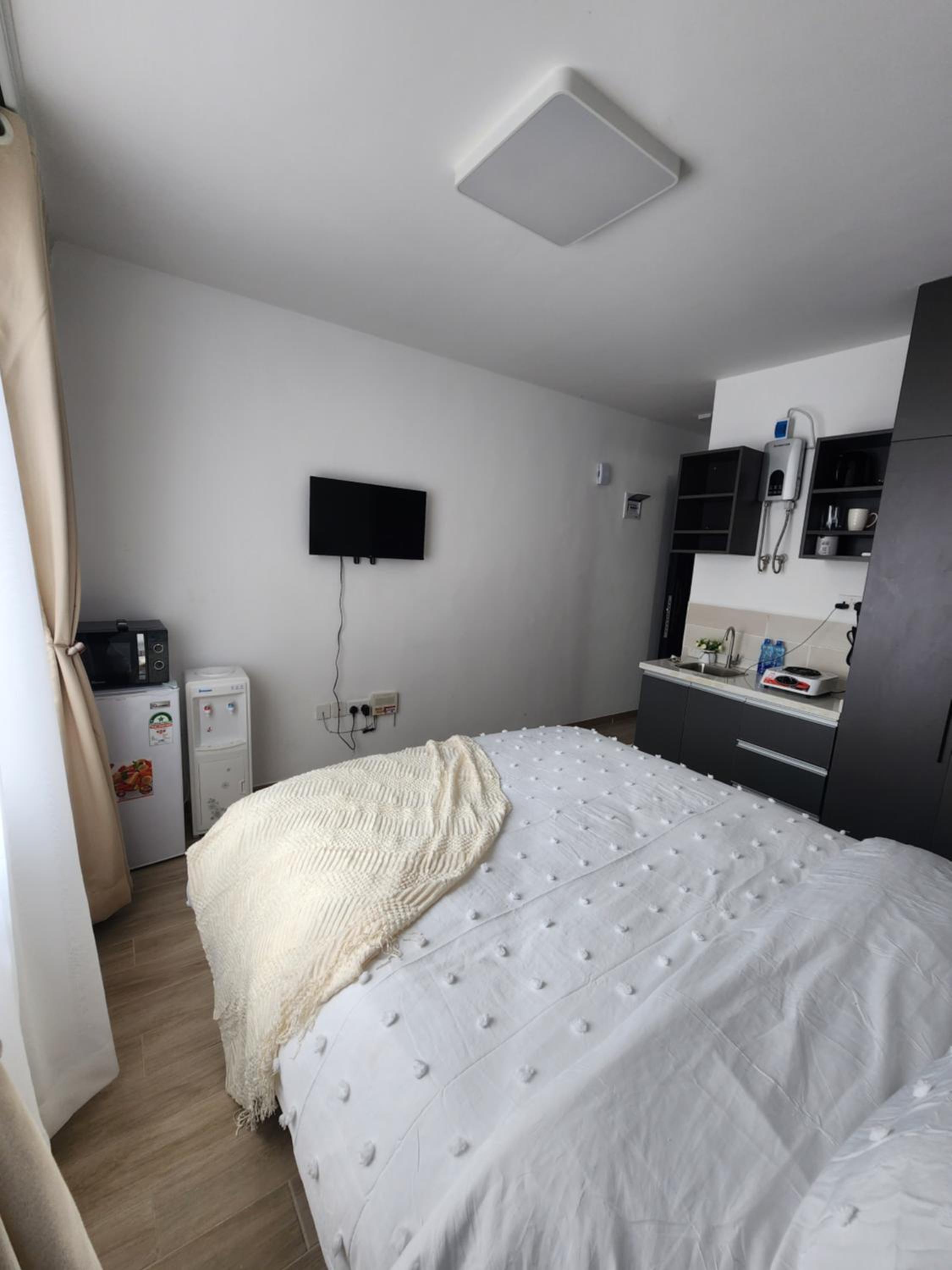One-Bedroom Apartment photo 3