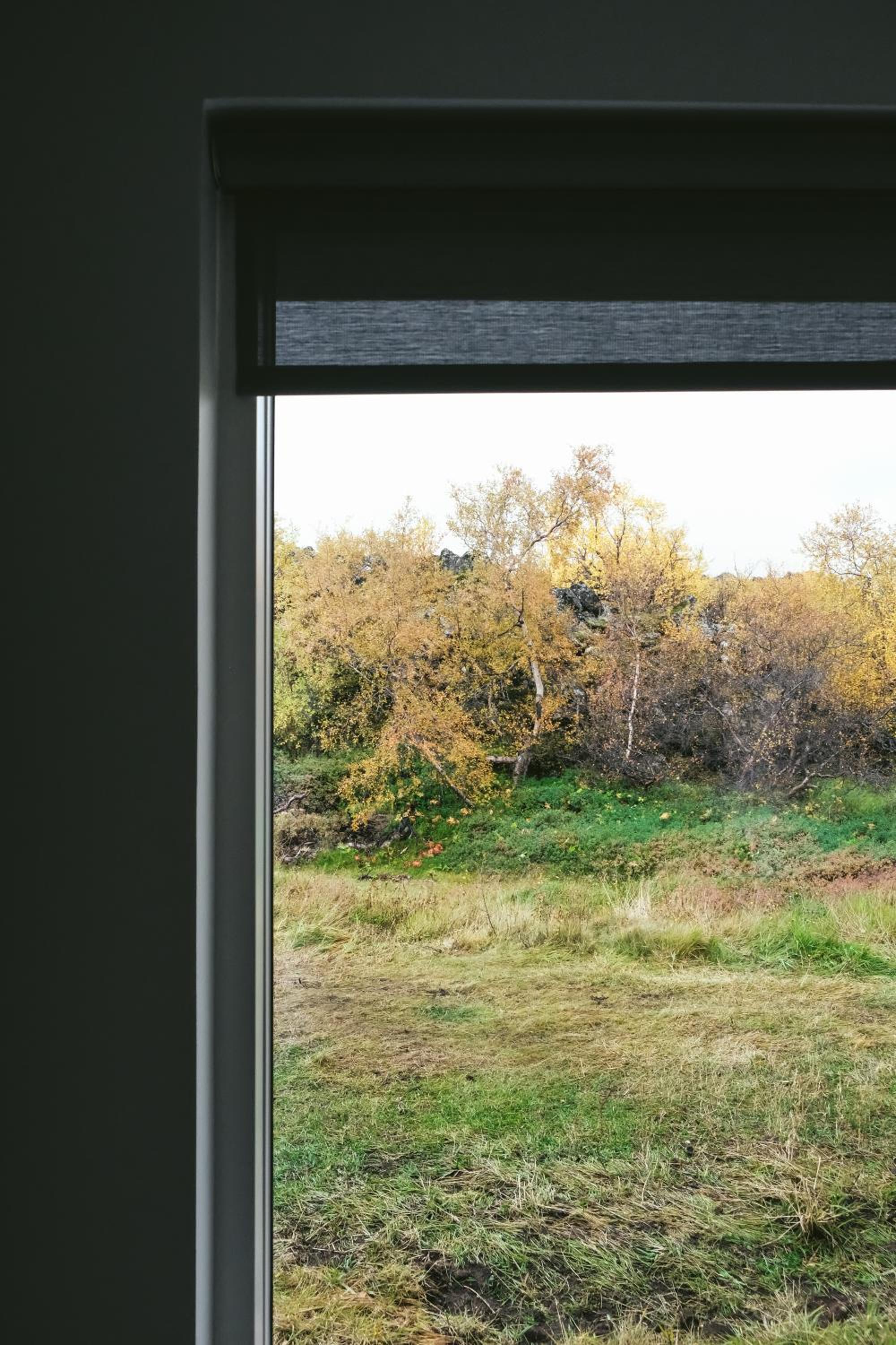 Apartment with Garden View photo 3