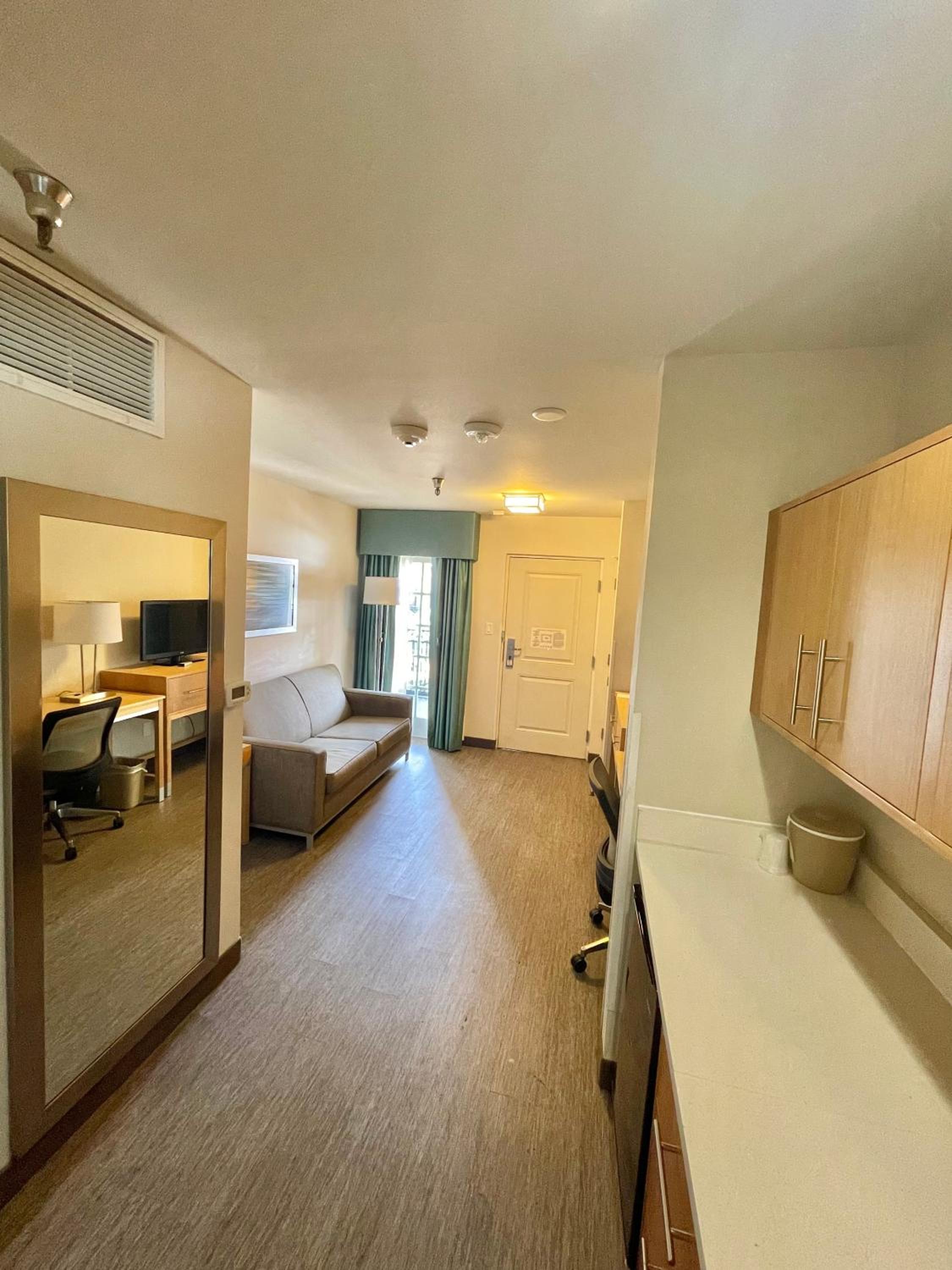 Red Roof Inn PLUS & Suites Tampa - Busch Gardens, Photo 4