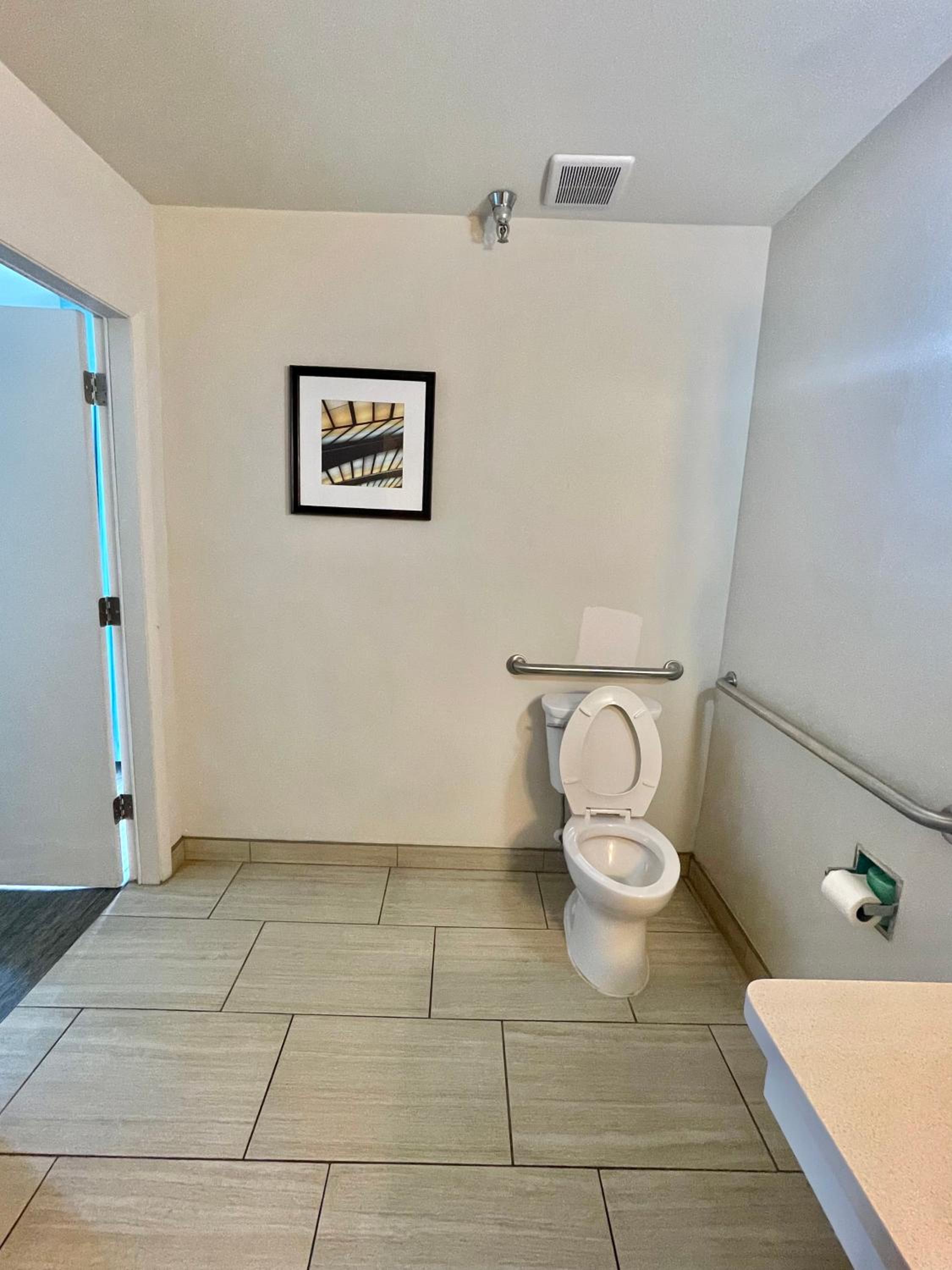 Red Roof Inn PLUS & Suites Tampa - Busch Gardens, Photo 12