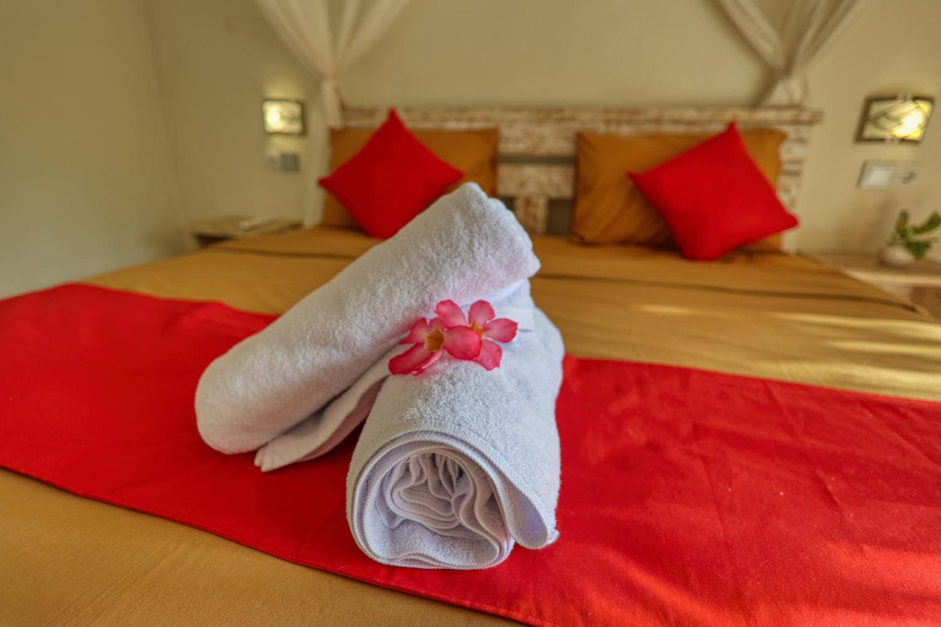 Superior Double Room - Photo 12