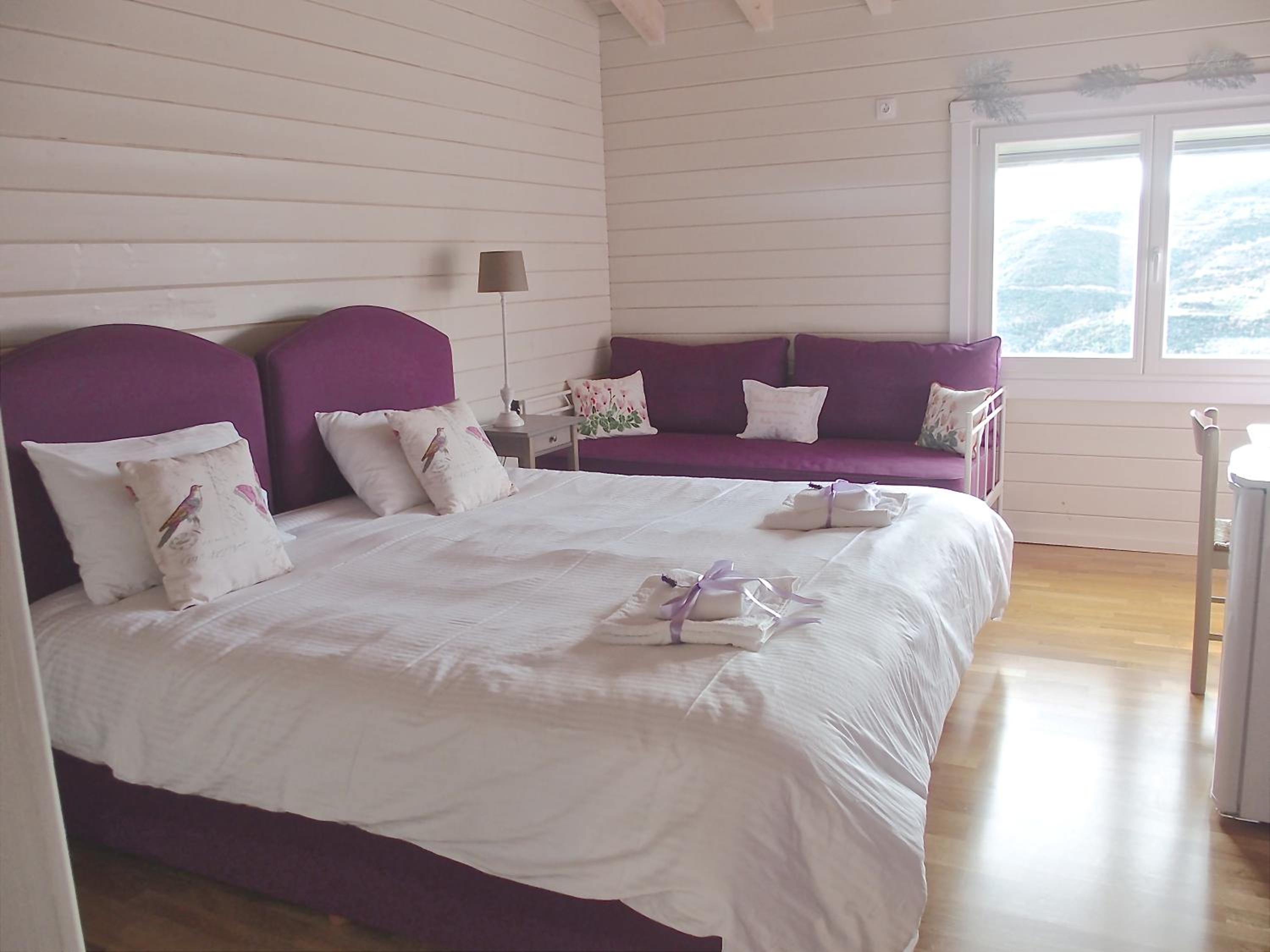 Superior Double or Twin Room photo 1