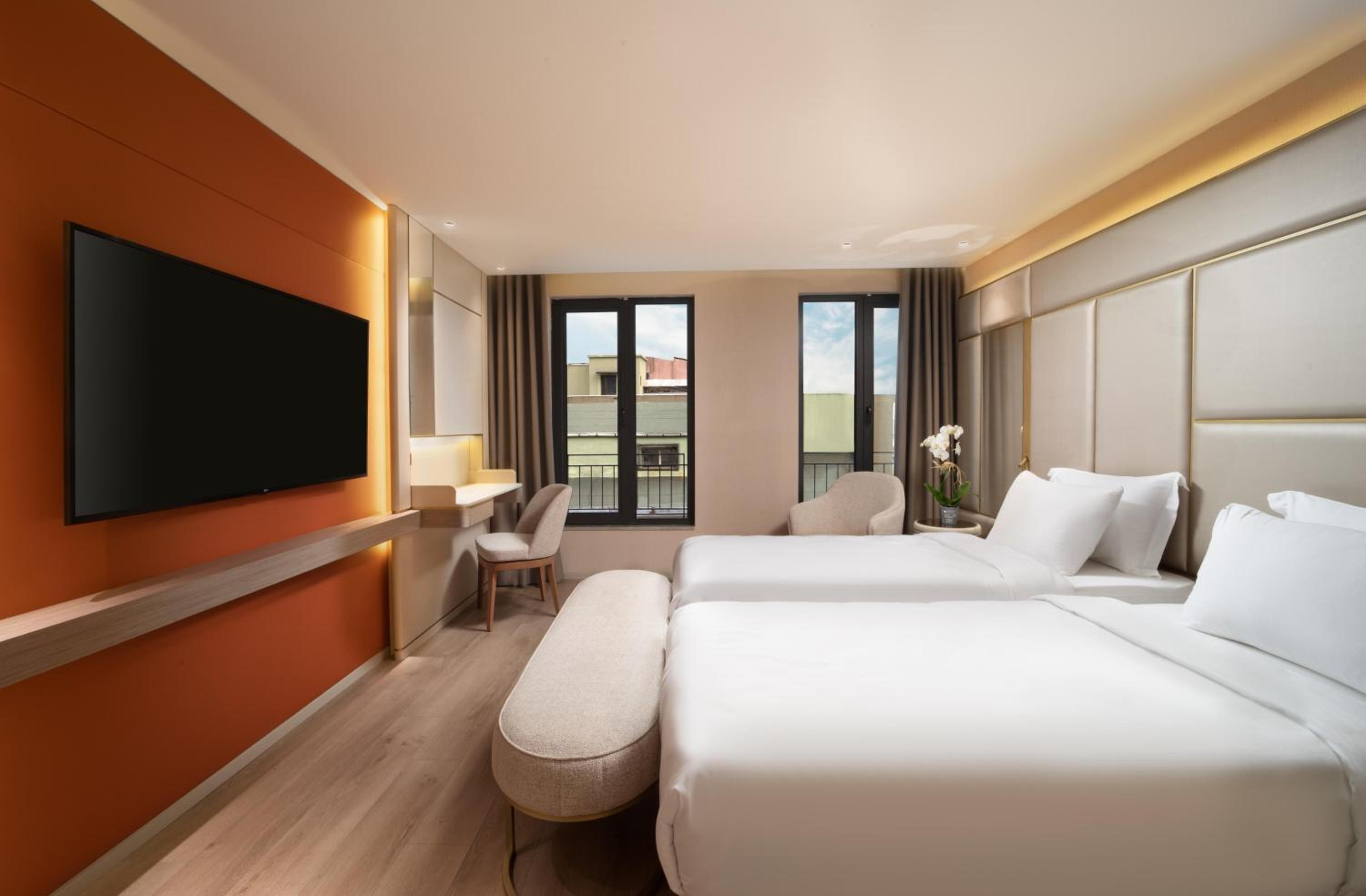 Deluxe Double or Twin Room photo 1