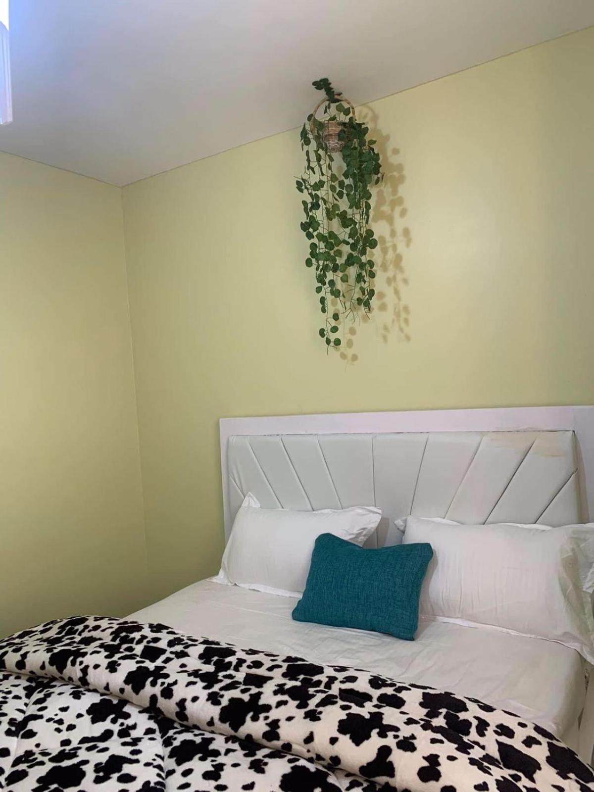 One-Bedroom Apartment - Photo 8