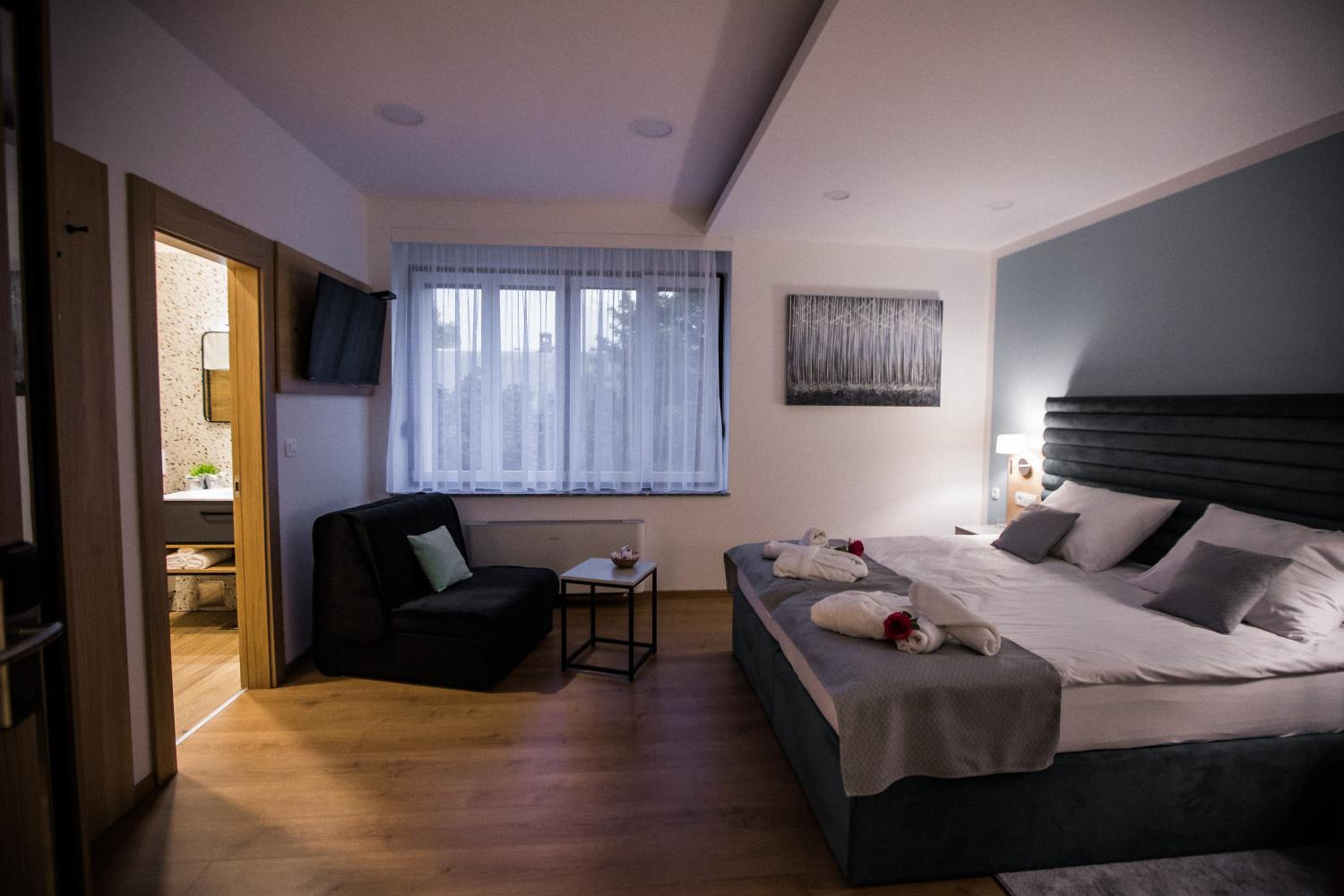 Superior Double or Twin Room with City View