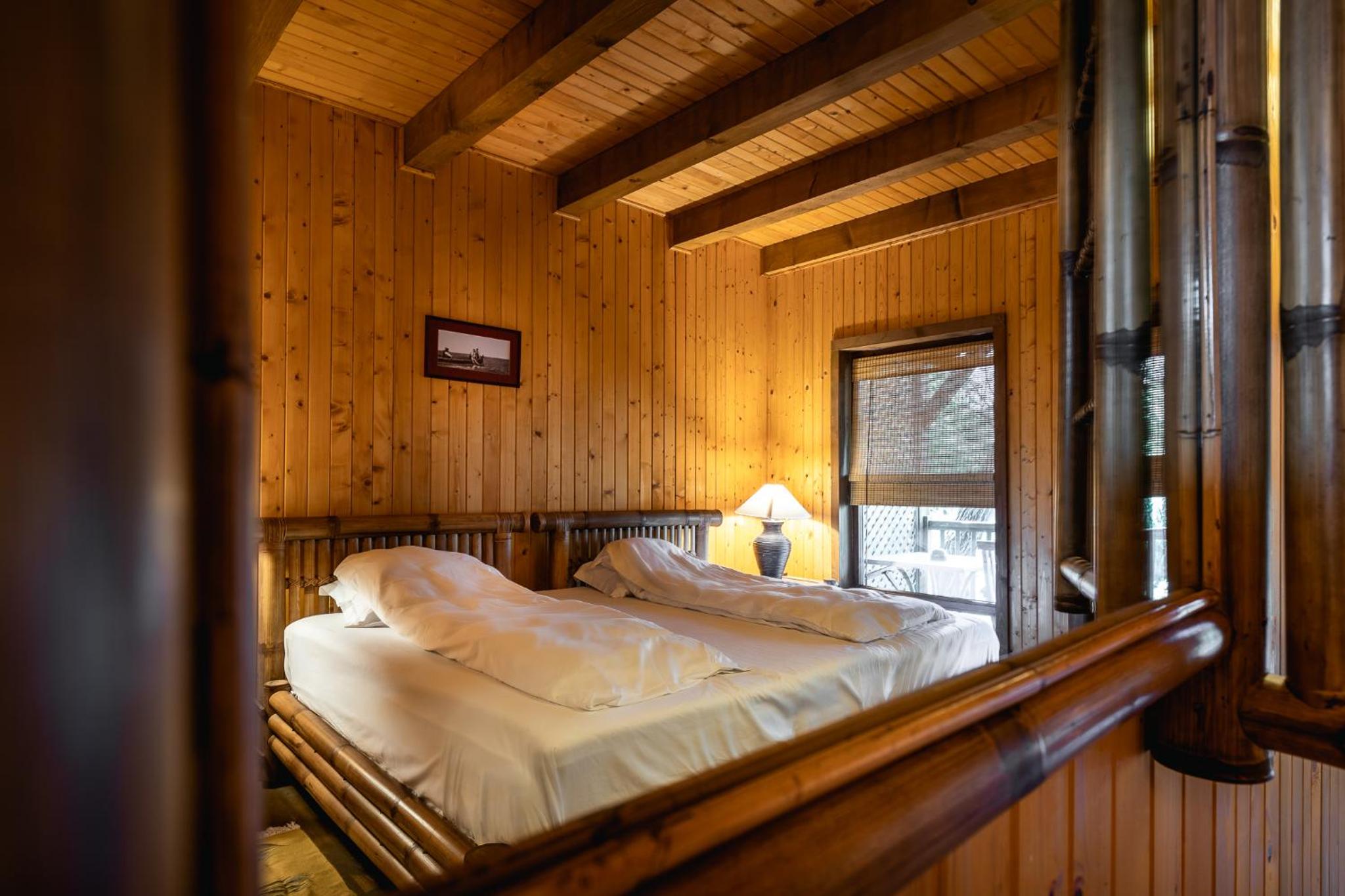Standard Double or Twin Room zona Starcul Alb photo 3