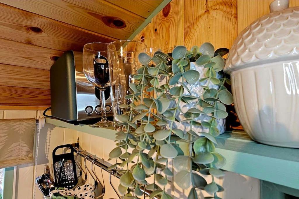 One-Bedroom House photo 3