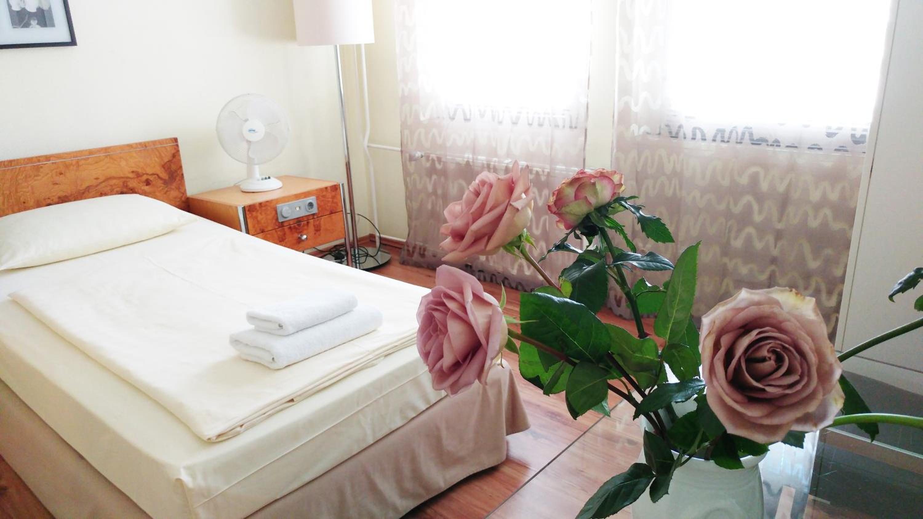 Single Room photo 1