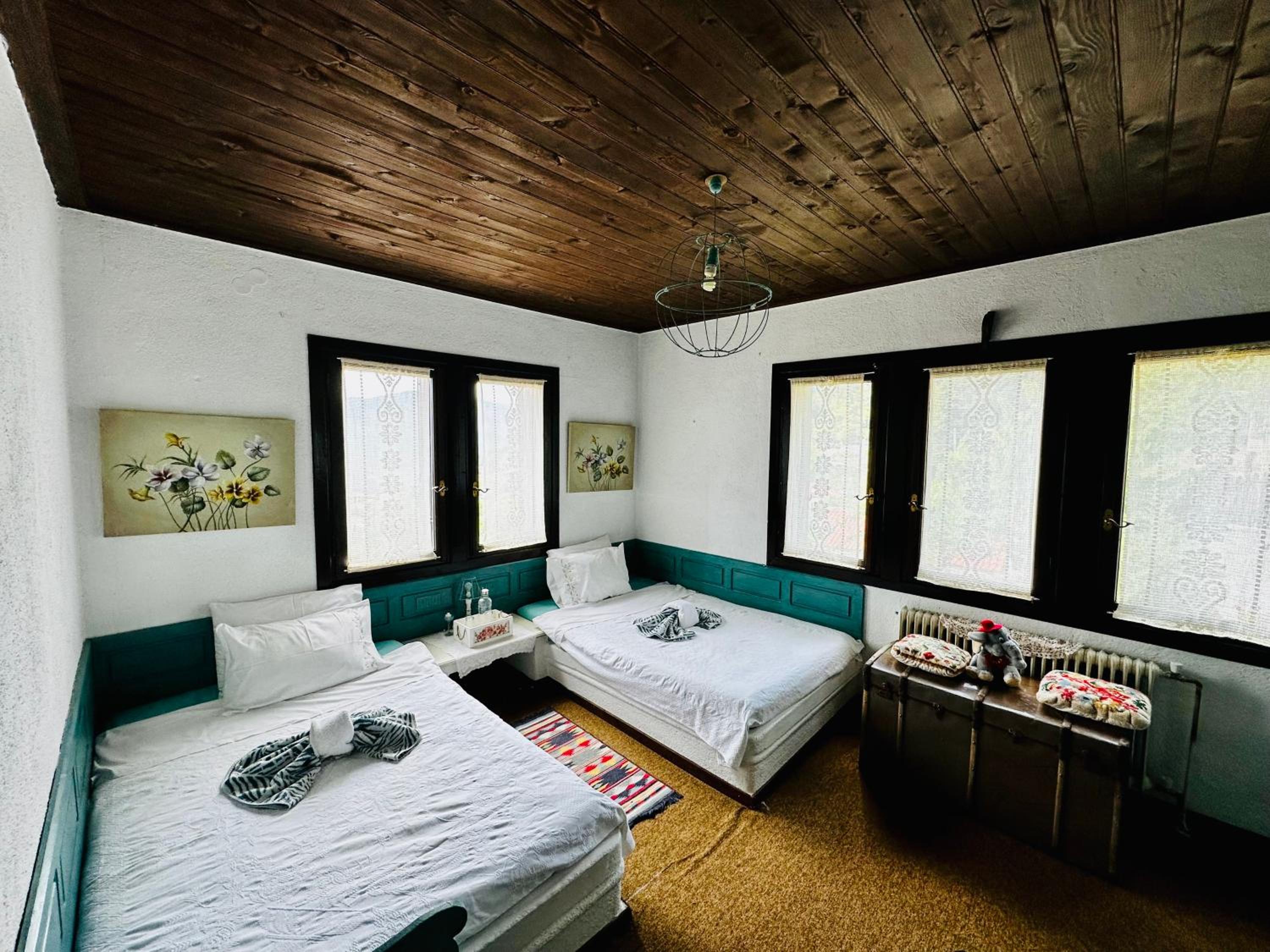 Double Room with Mountain View photo 1
