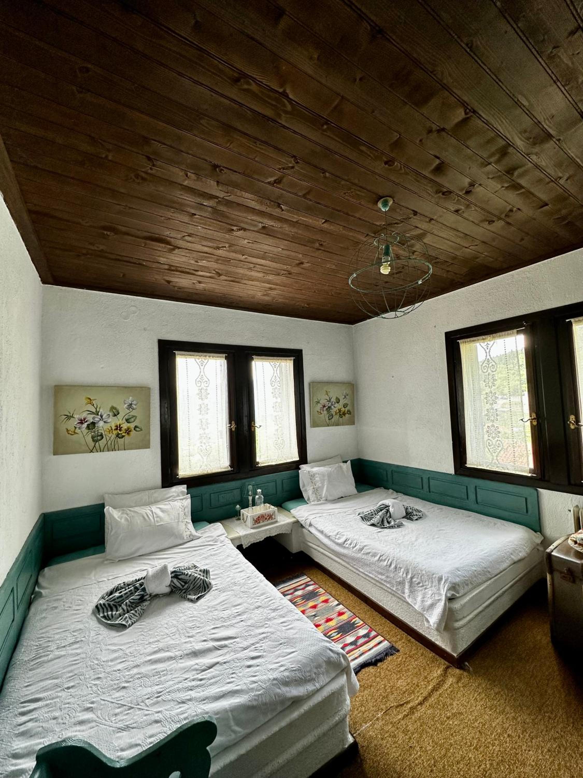 Double Room with Mountain View photo 2