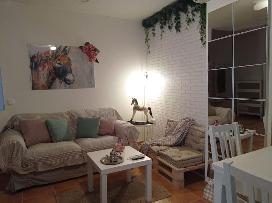 Apartamento Loft de una habitación