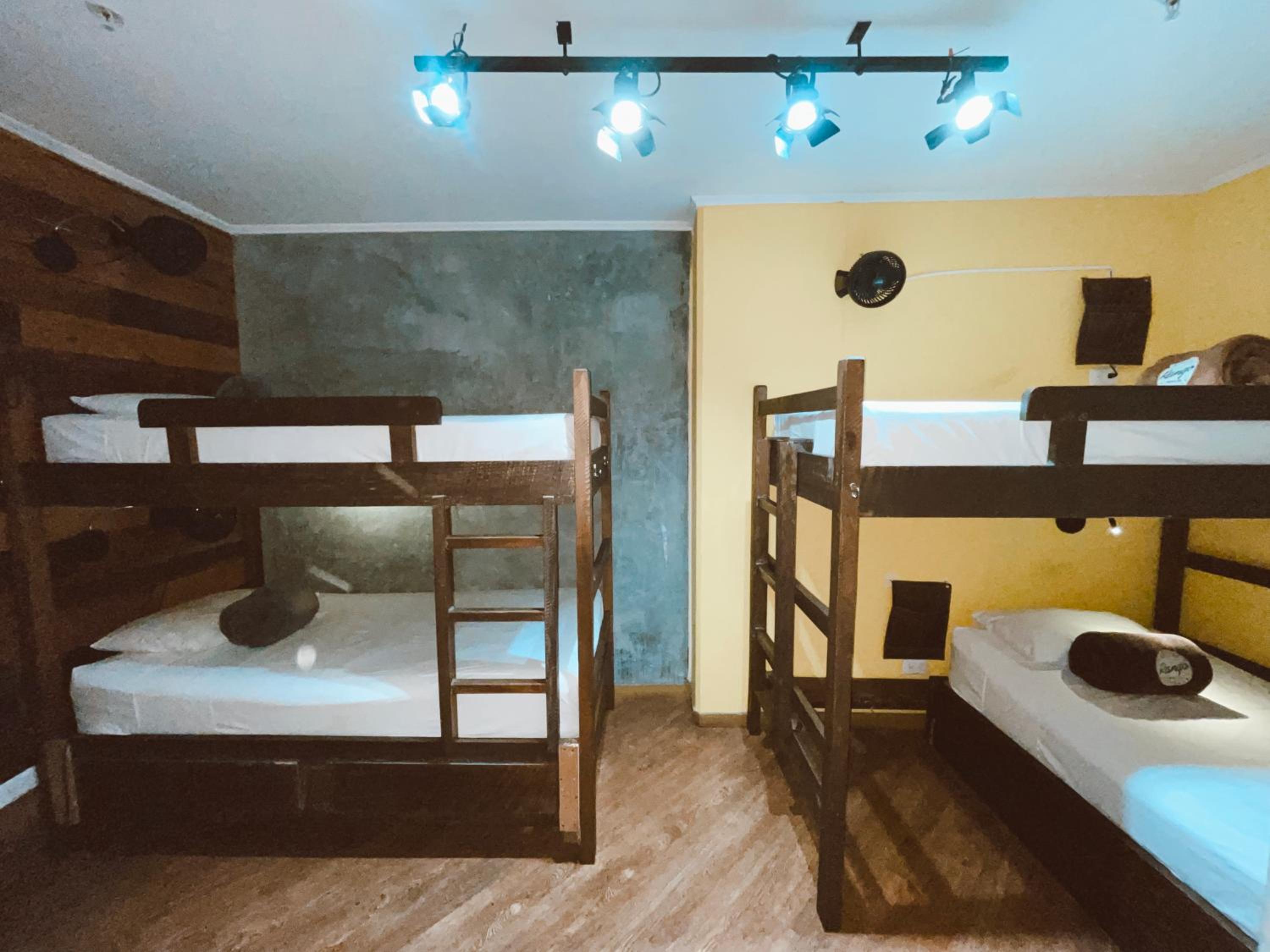 Bed in 4-Bed Mixed Dormitory Room photo 2