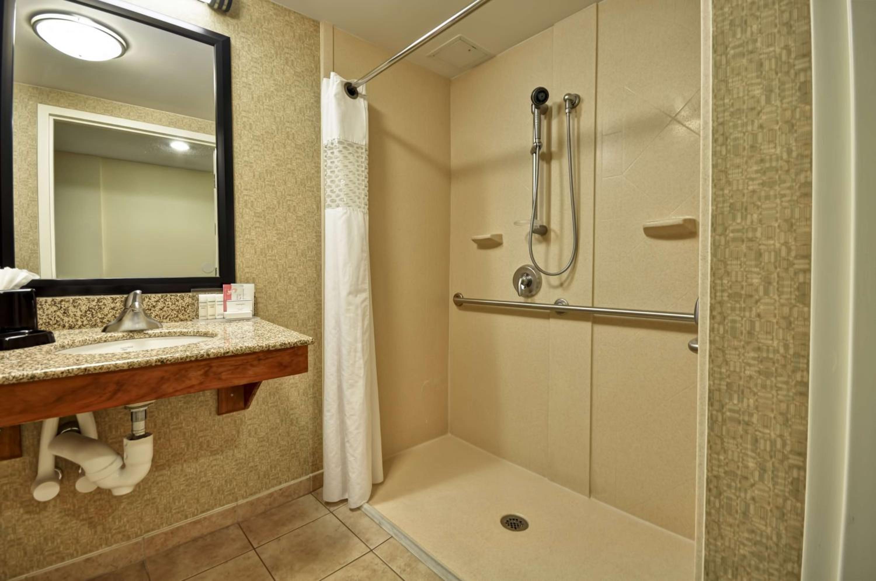 King Room with Roll-In Shower - Mobility and Hearing Access/Non-Smoking - Photo 2