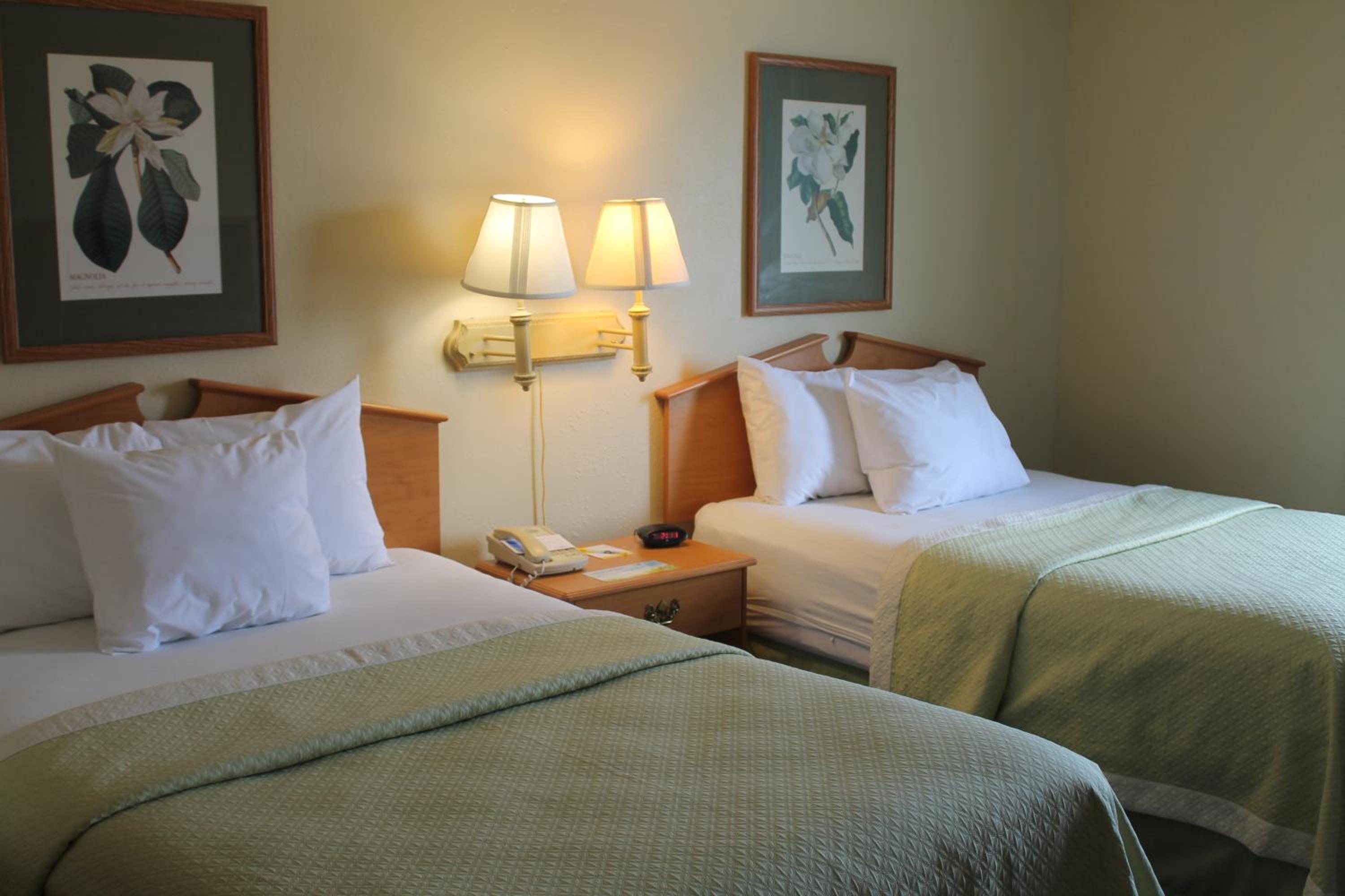 Studio Suite with Two Double Beds -  Non-Smoking  - Photo 4