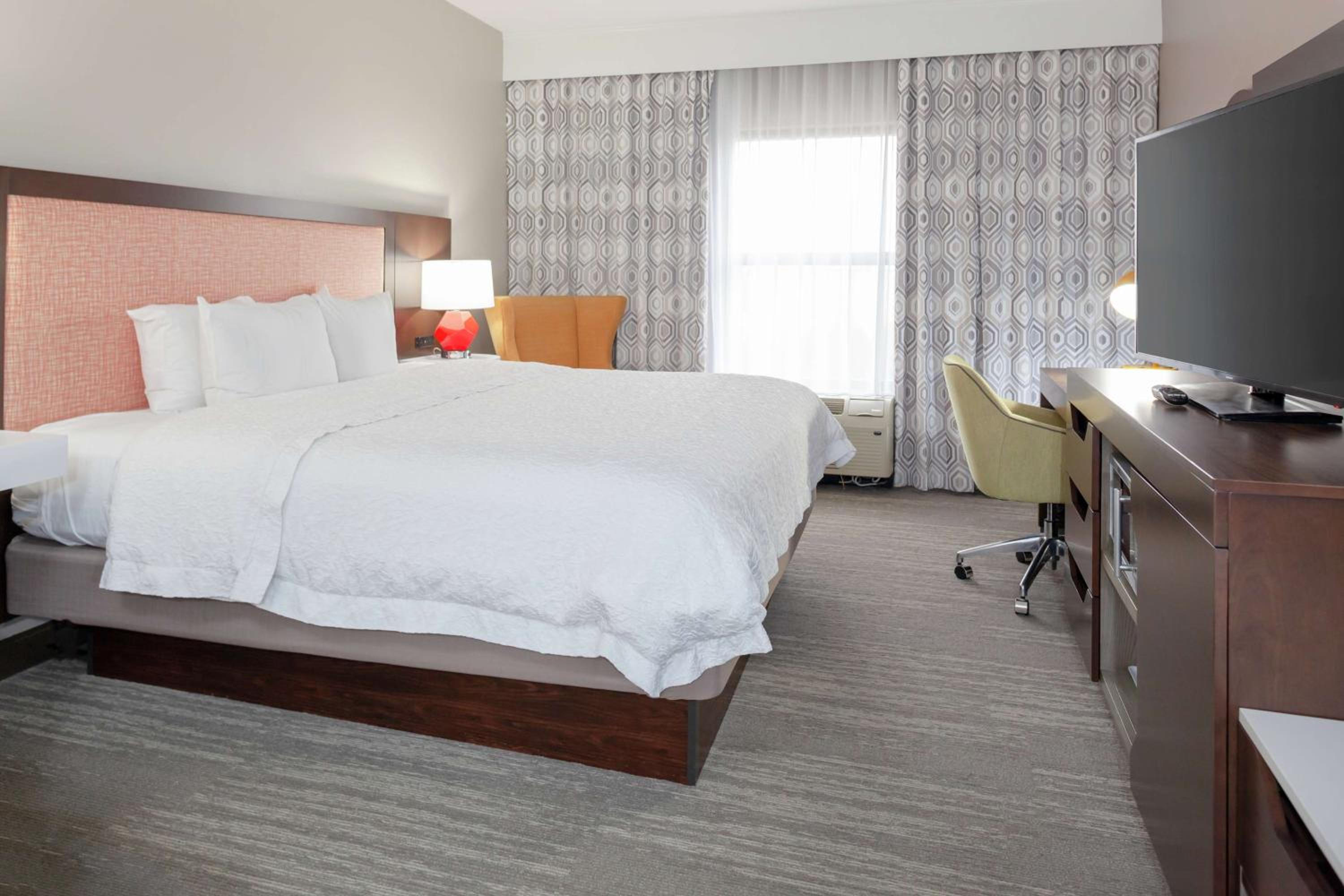 King Suite - Photo 1