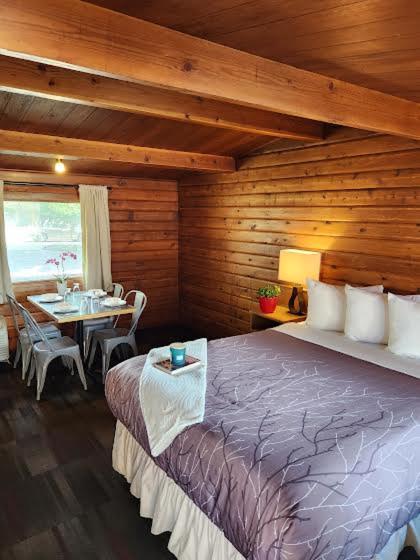 Two Queen Cabin Kitchenette