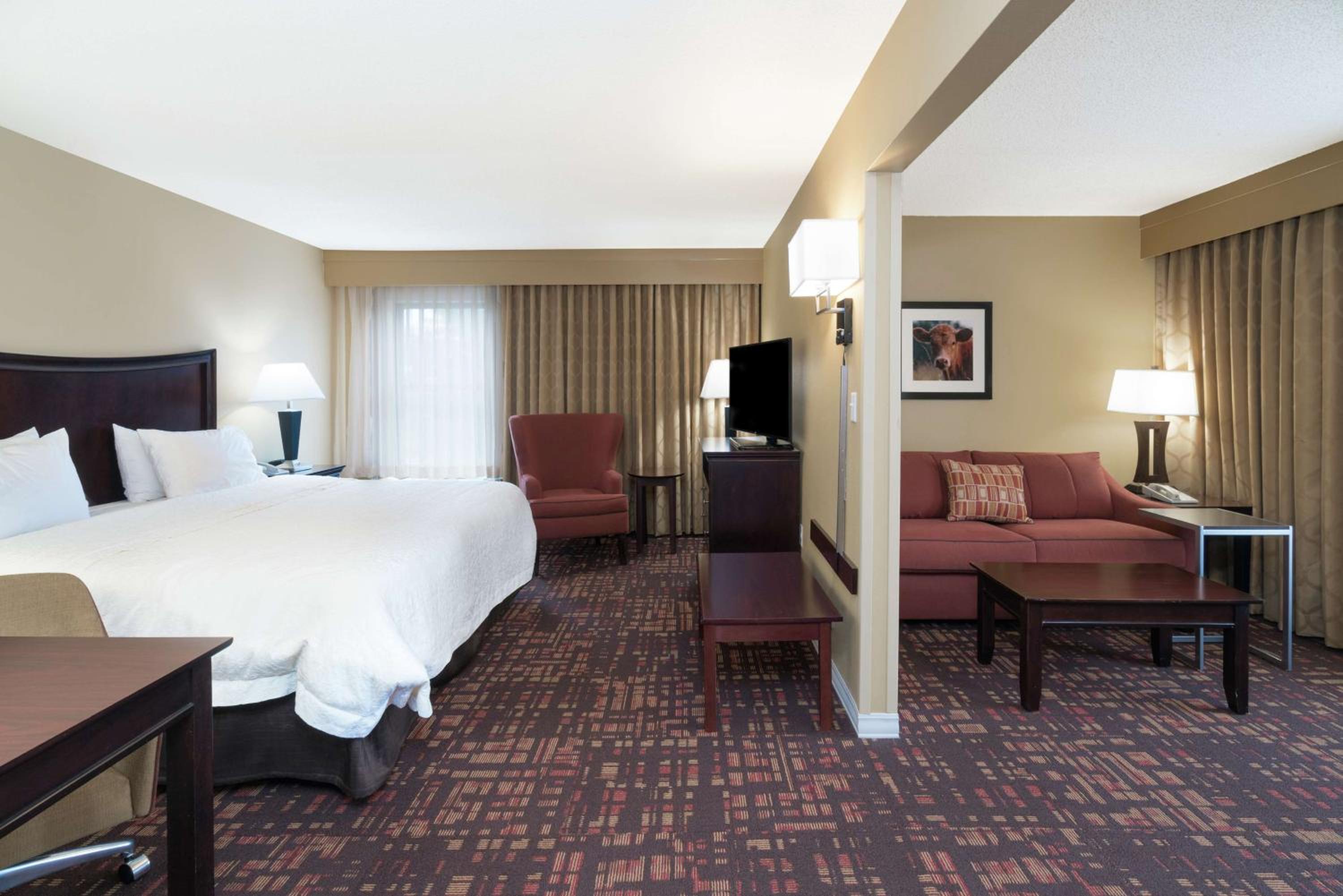 King Suite with Sofa Bed - Non-Smoking - Photo 2