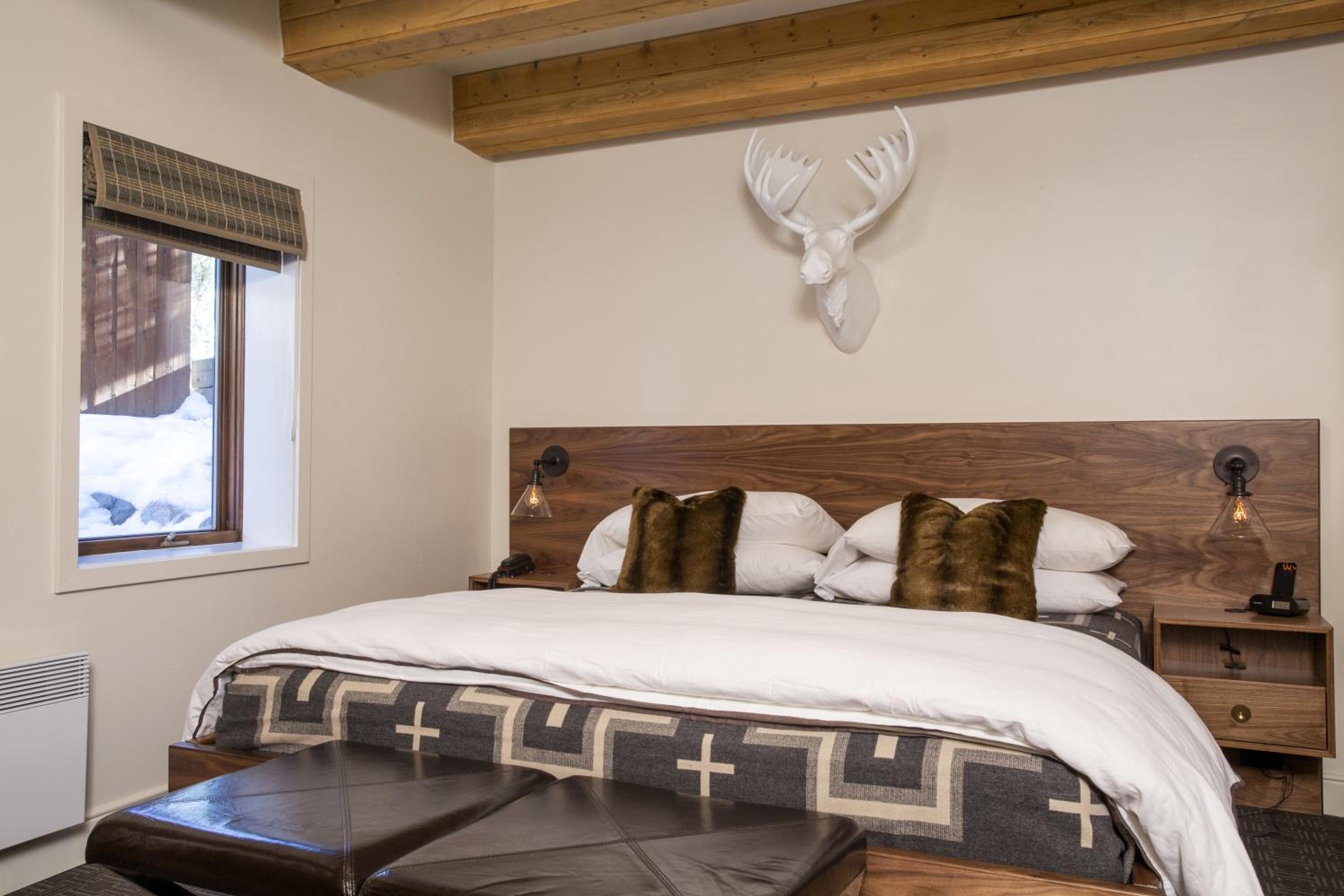 Standard Queen Room