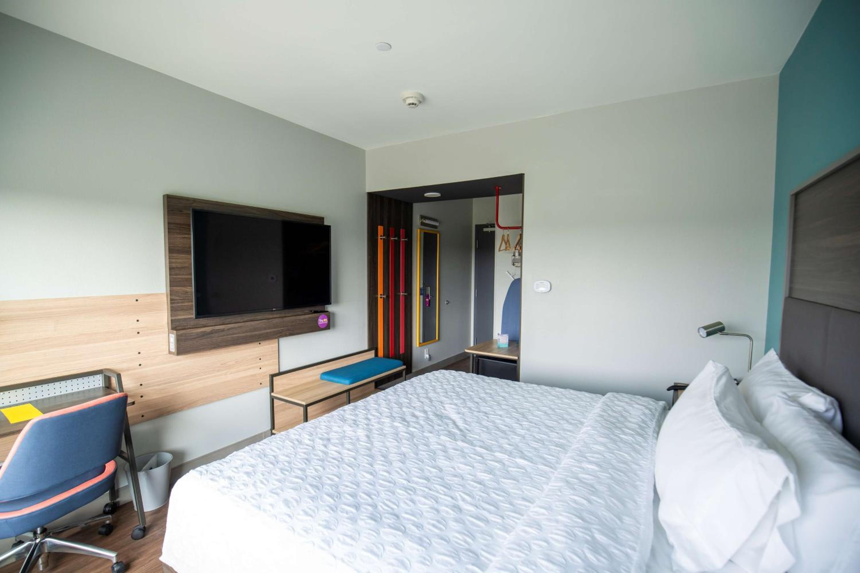 King Room photo 2