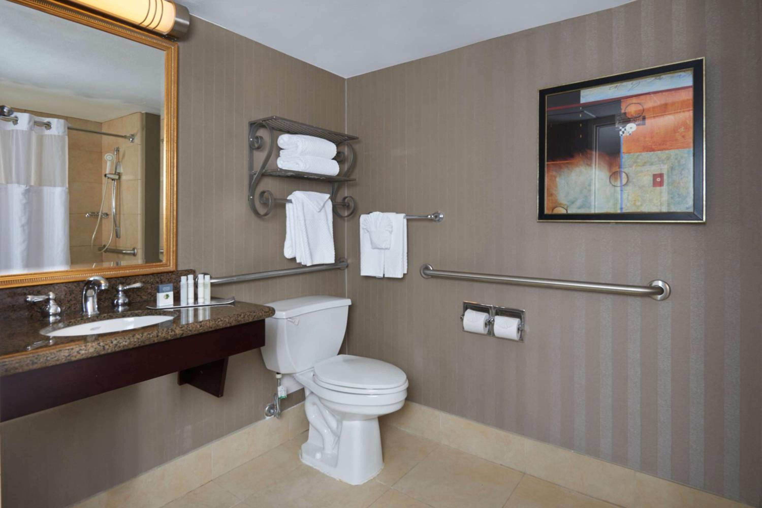 King Room Accessible Tub - Mobility Access/Non-Smoking - Photo 4