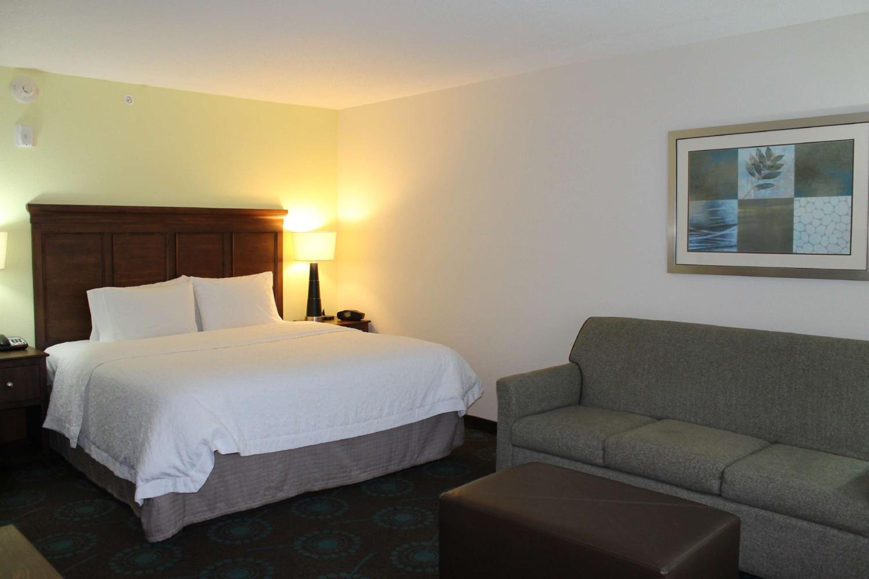 King Studio Suite with Sofa Bed - Non-Smoking - Photo 2