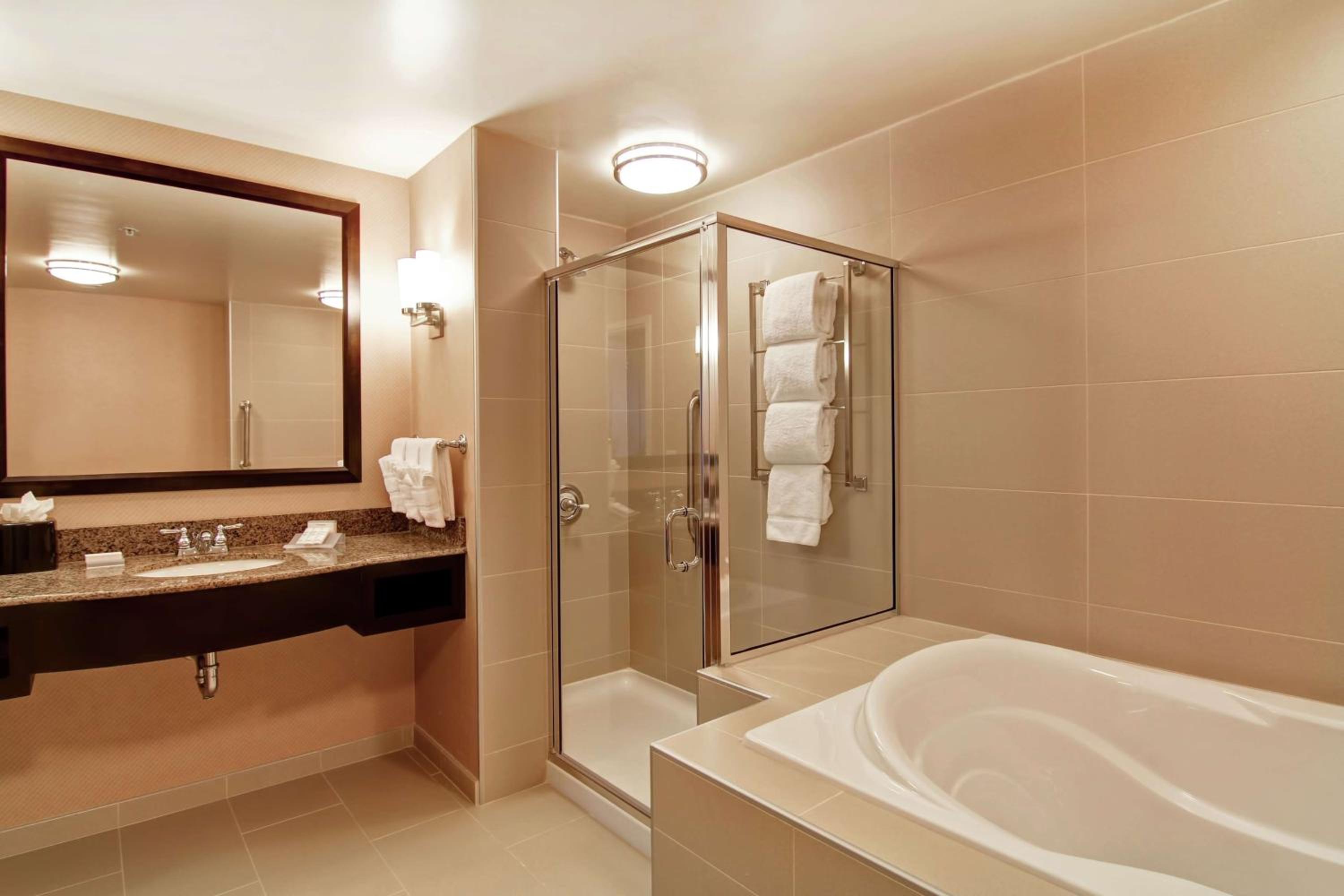 One-Bedroom King Suite photo 3
