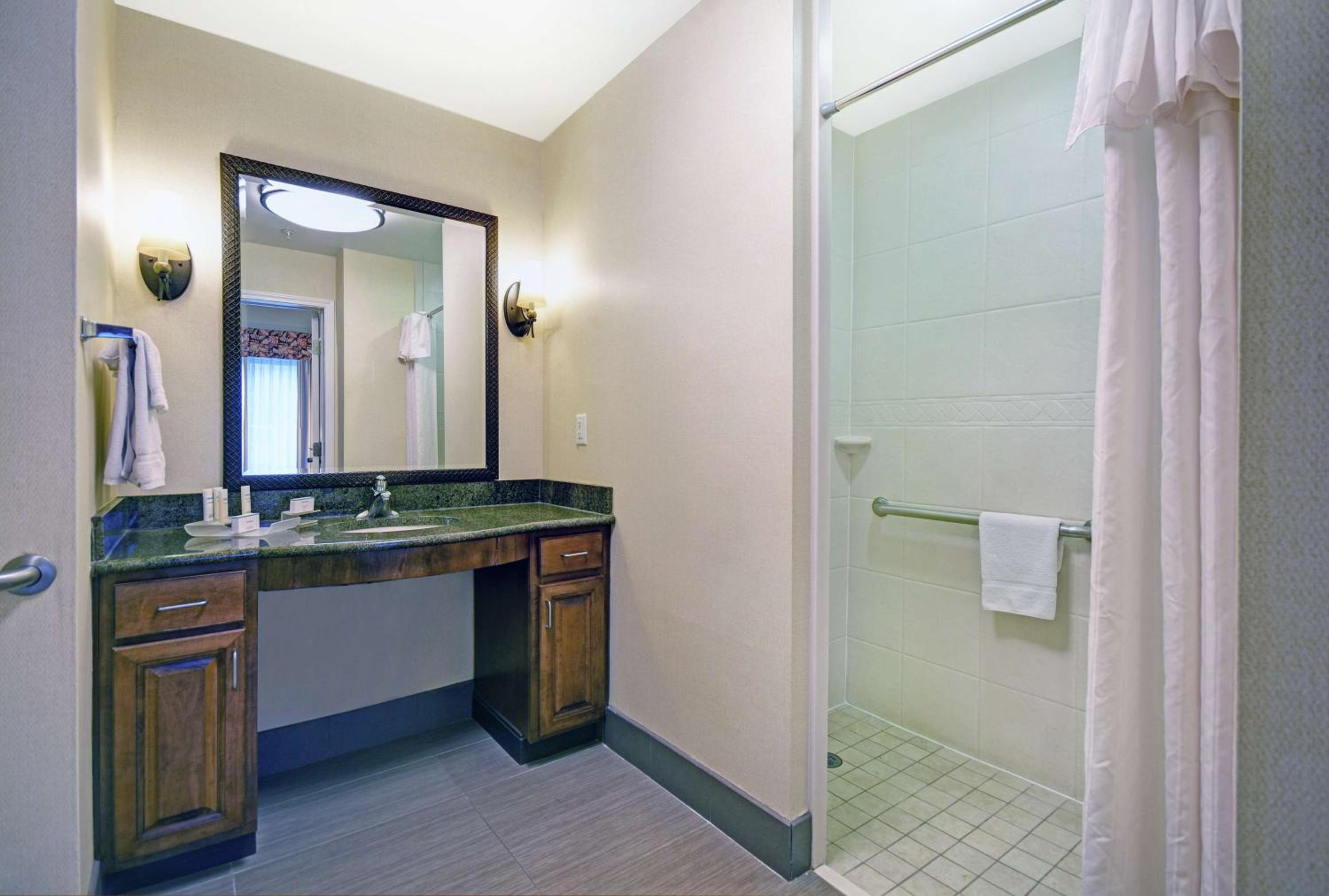 King Studio with Roll-In Shower - Mobility and Hearing Access/Non-Smoking - Photo 2
