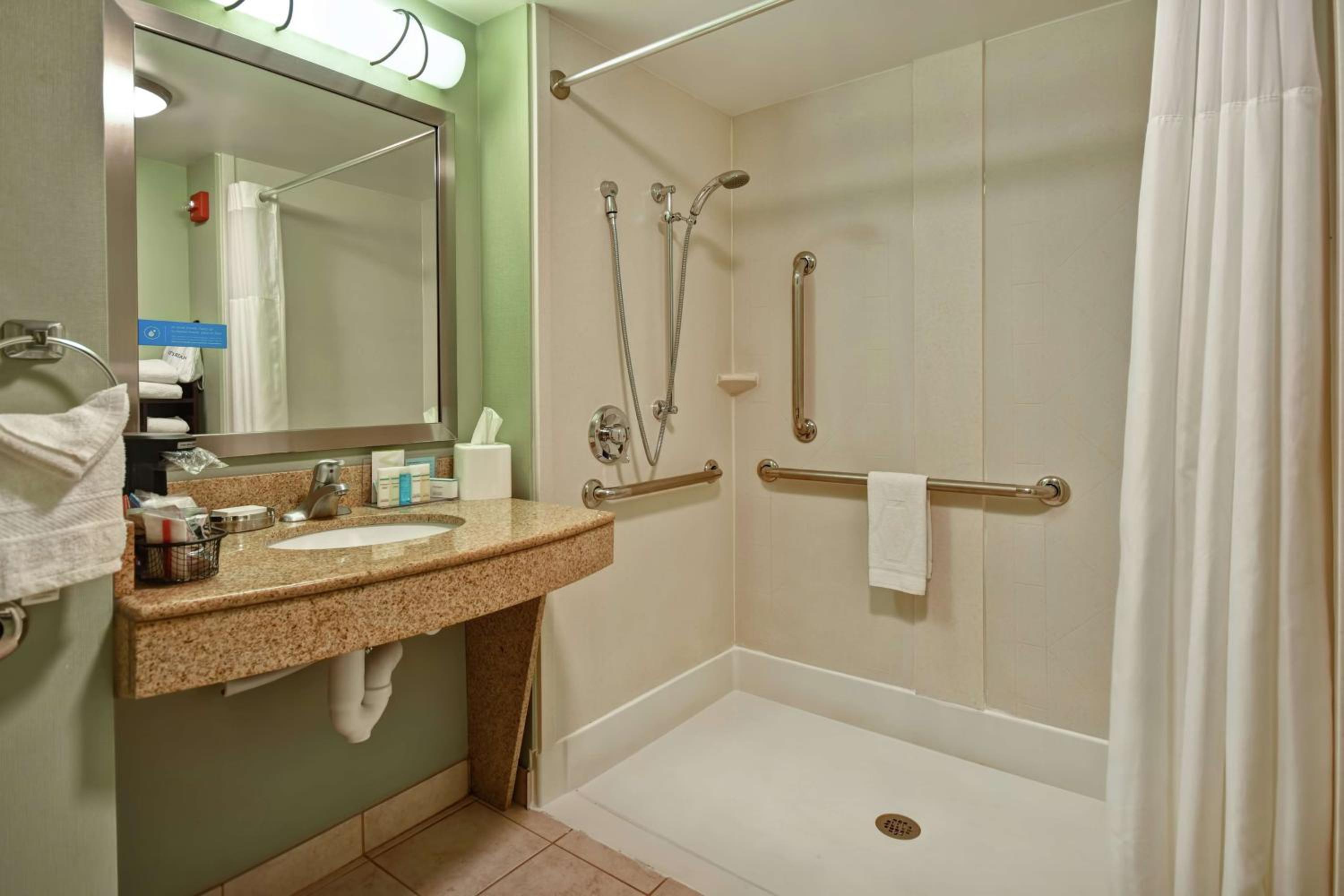 King Room with Roll-In Shower - Mobility Access/Non-Smoking - Photo 3
