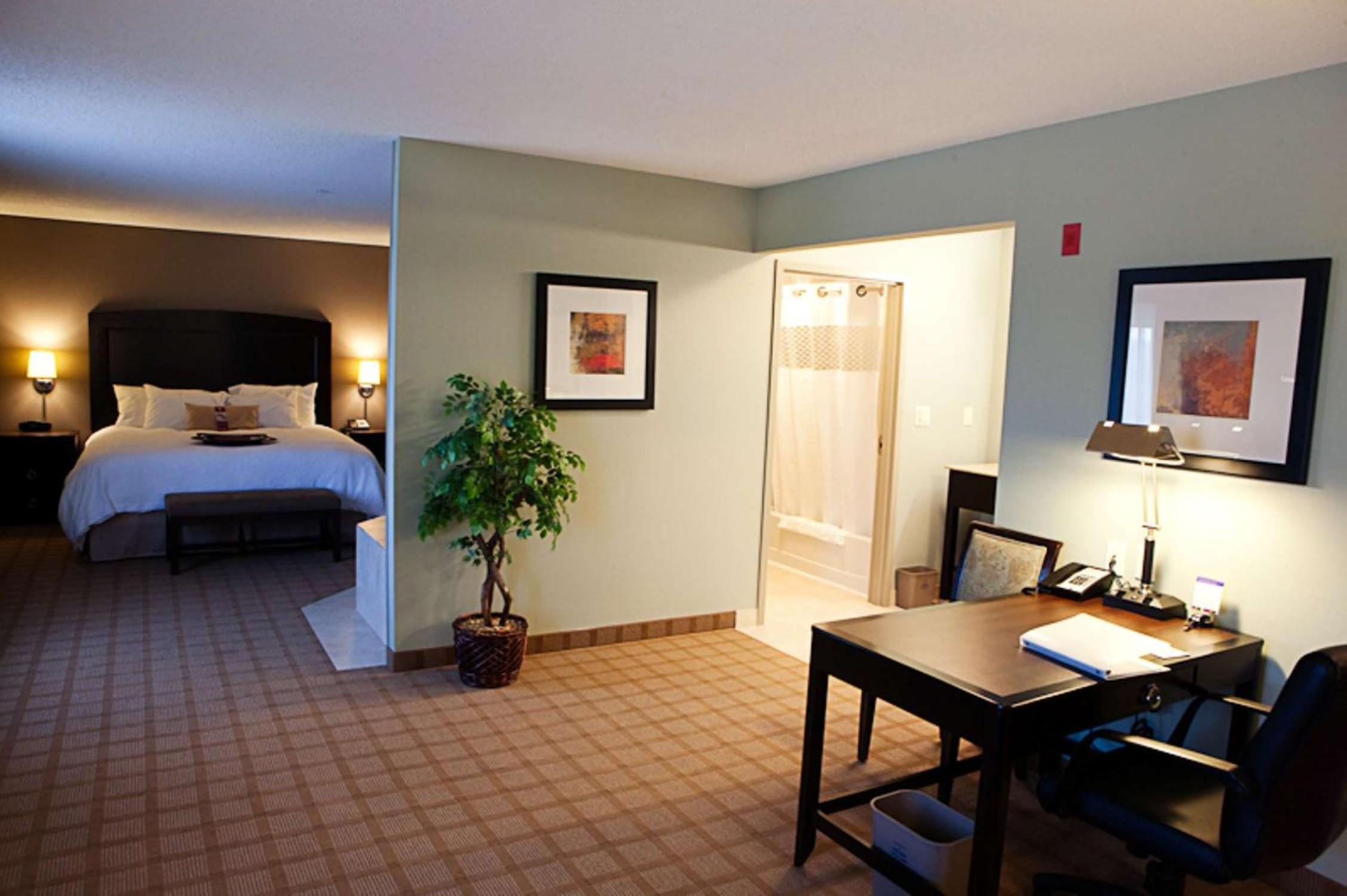 King Studio Suite With Whirlpool - Non-Smoking photo 3