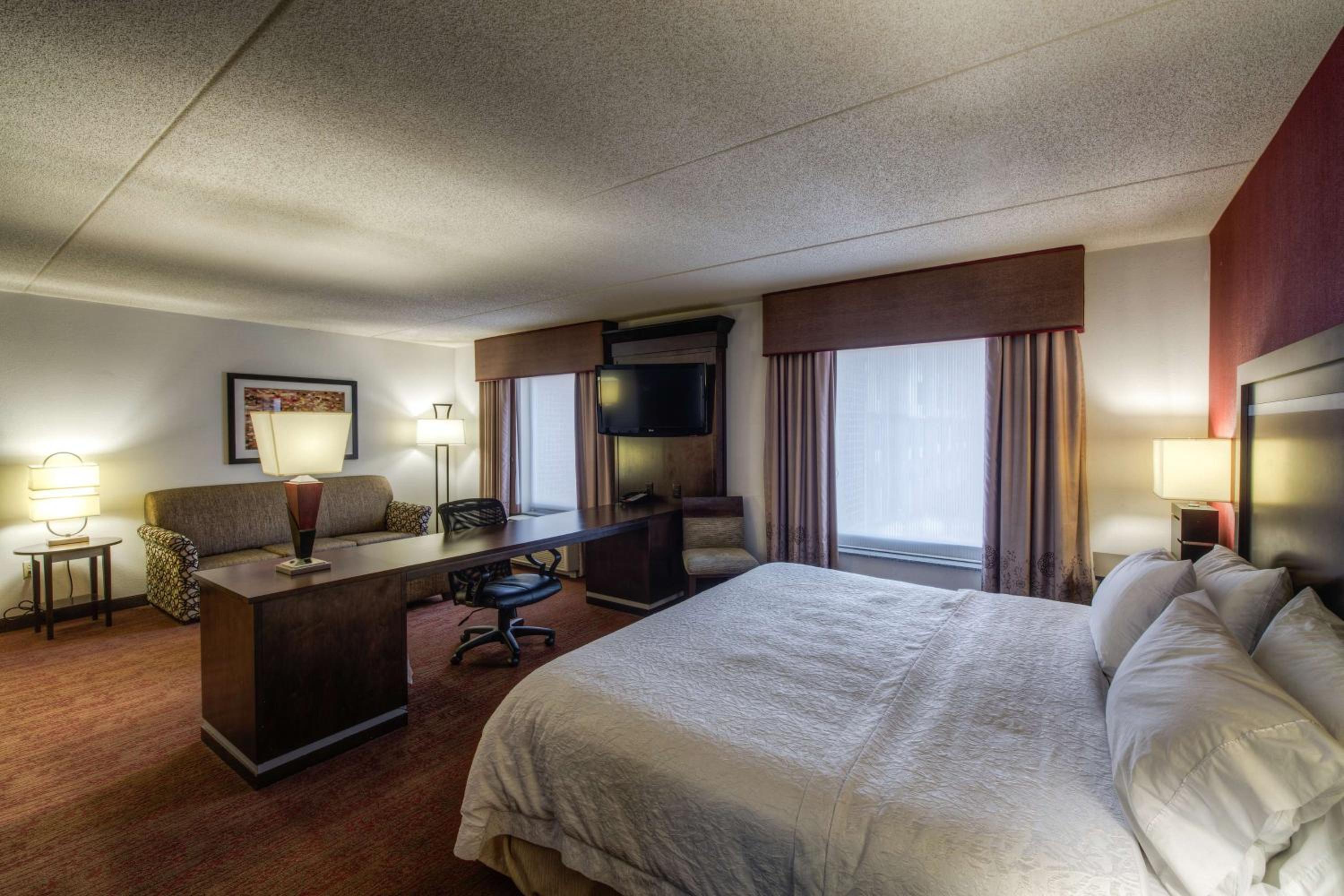 King Studio Suite with Sofa Bed - Non-Smoking - Photo 6