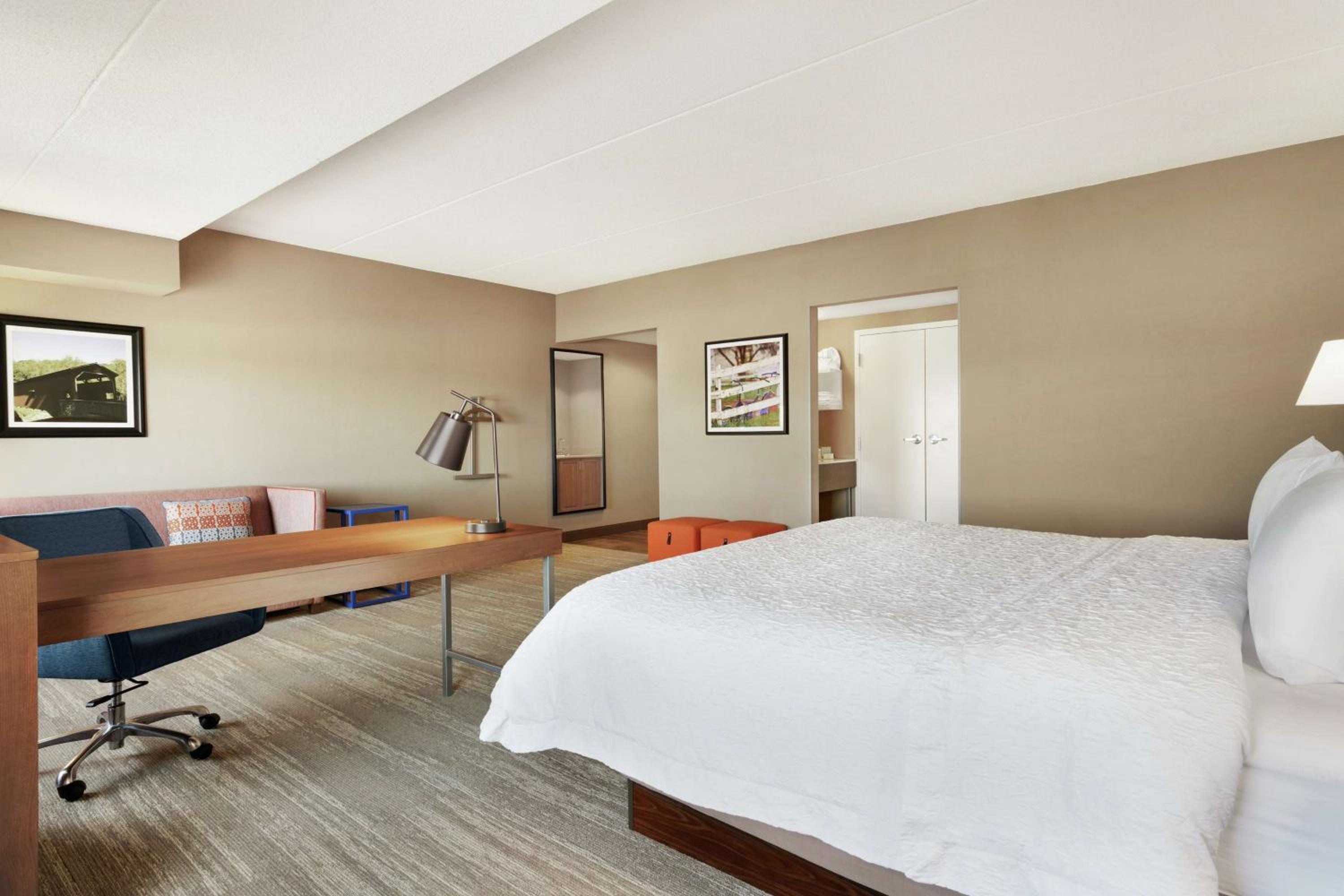 King Studio Suite with Sofa Bed - Non-Smoking - Photo 1