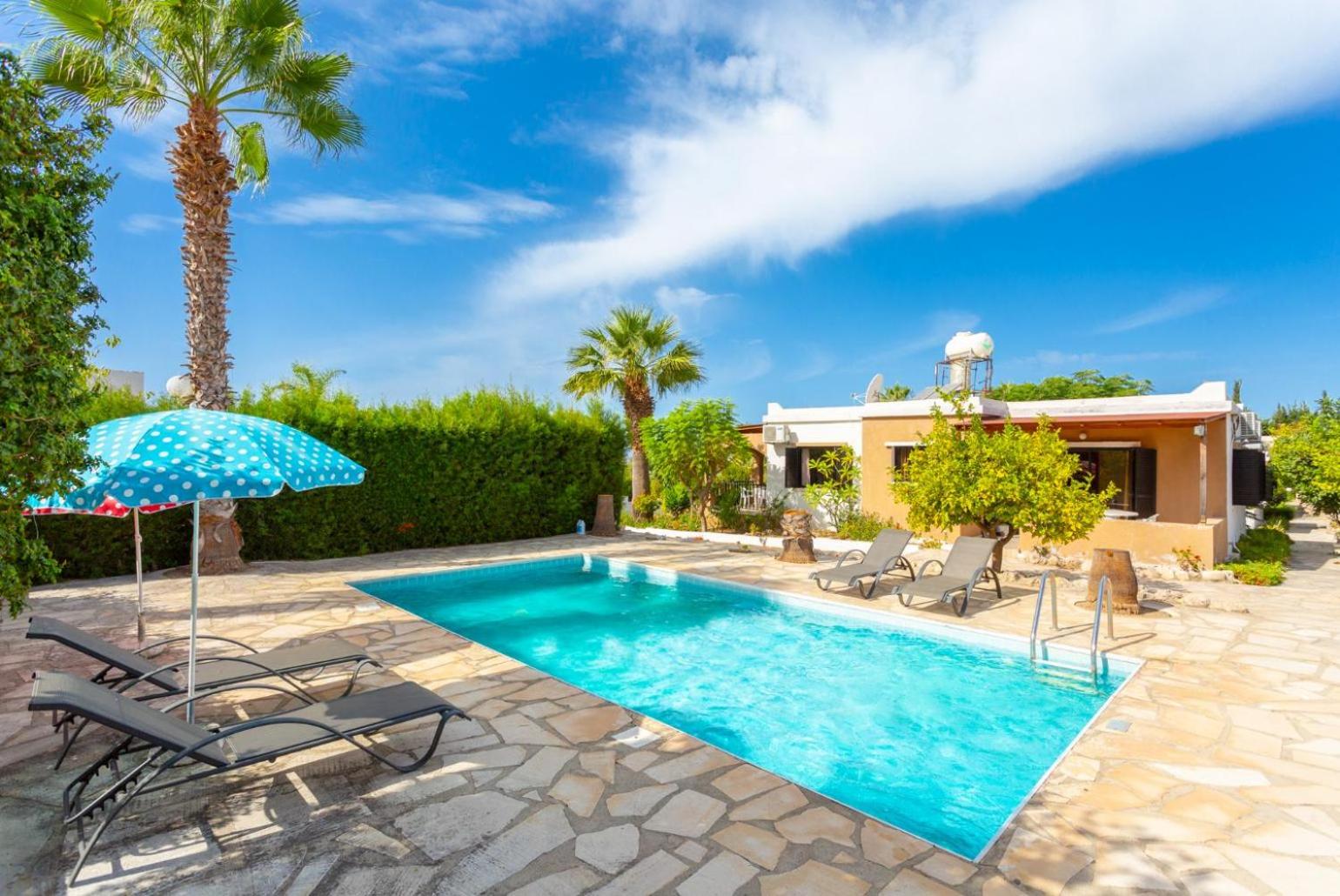  Villa With Private Pool photo 2