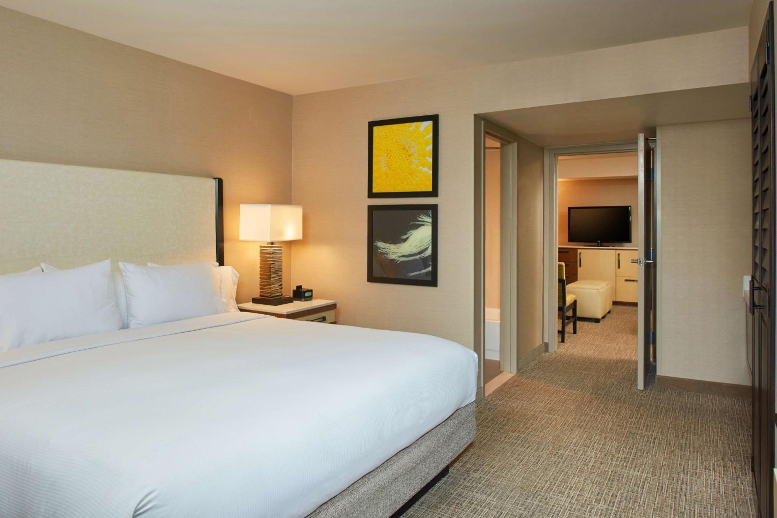 King Suite - Photo 1