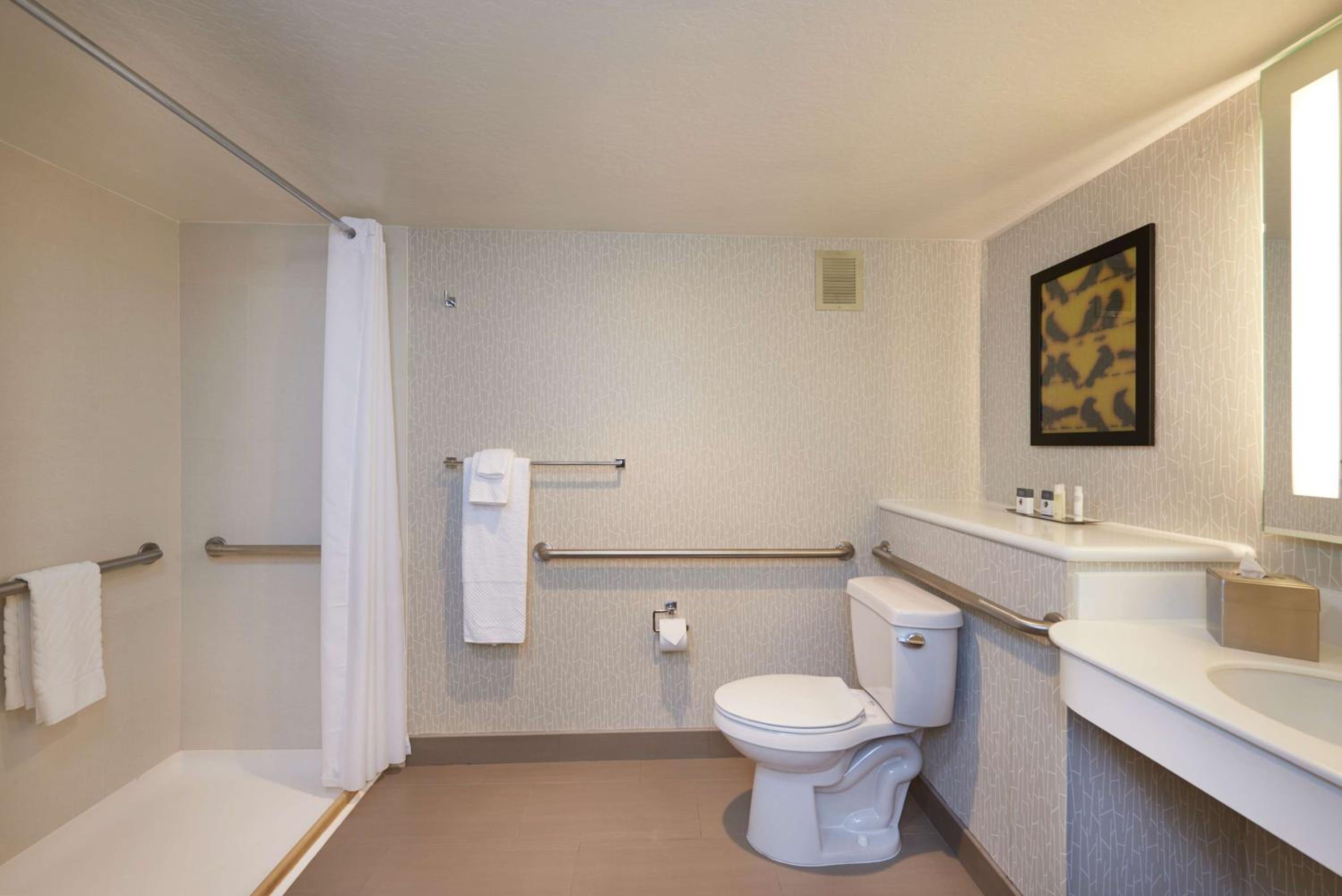 King Room - Mobile/Hearing Accessible w/ Roll In-Shower - Photo 3