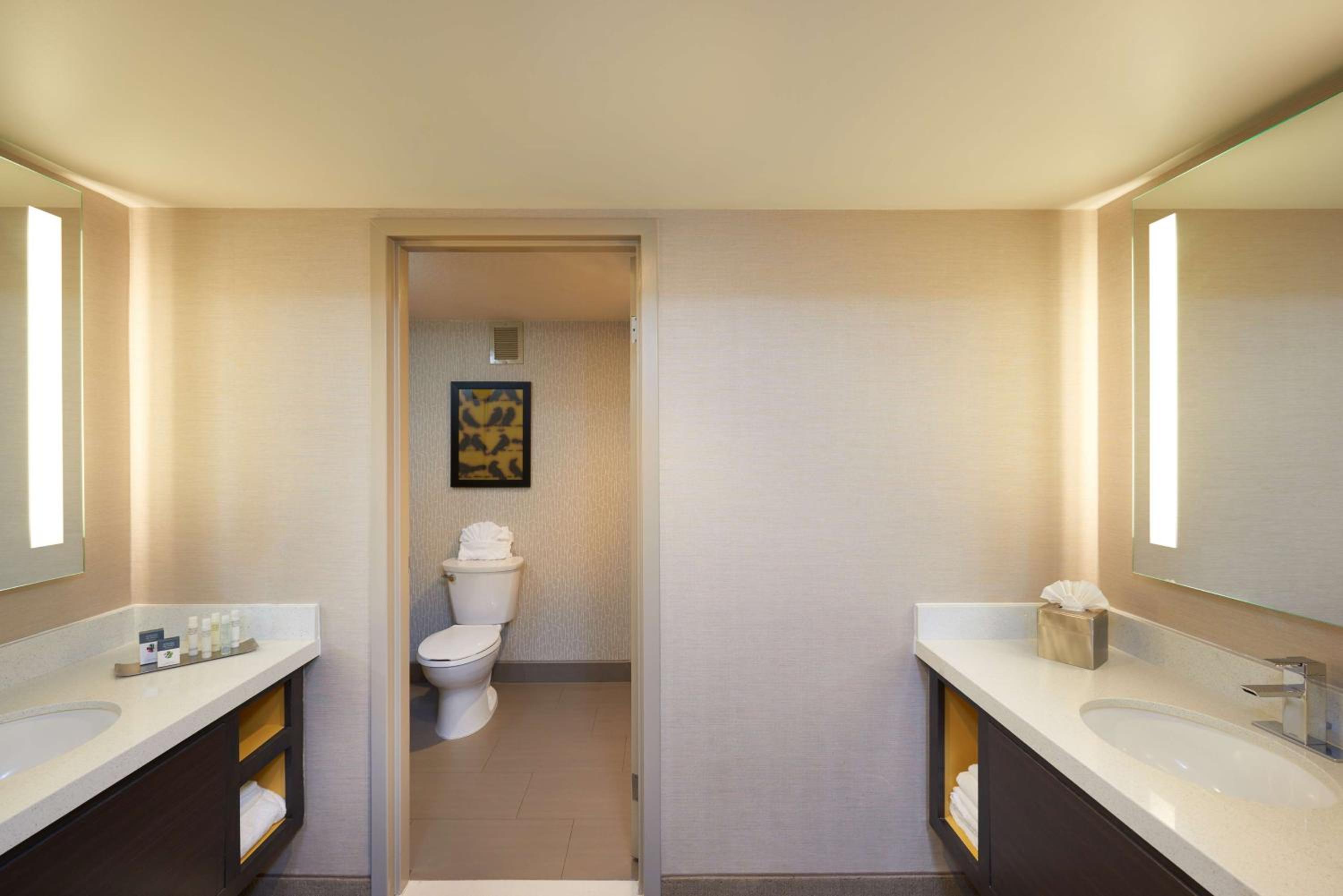 King Luxury Suite photo 3
