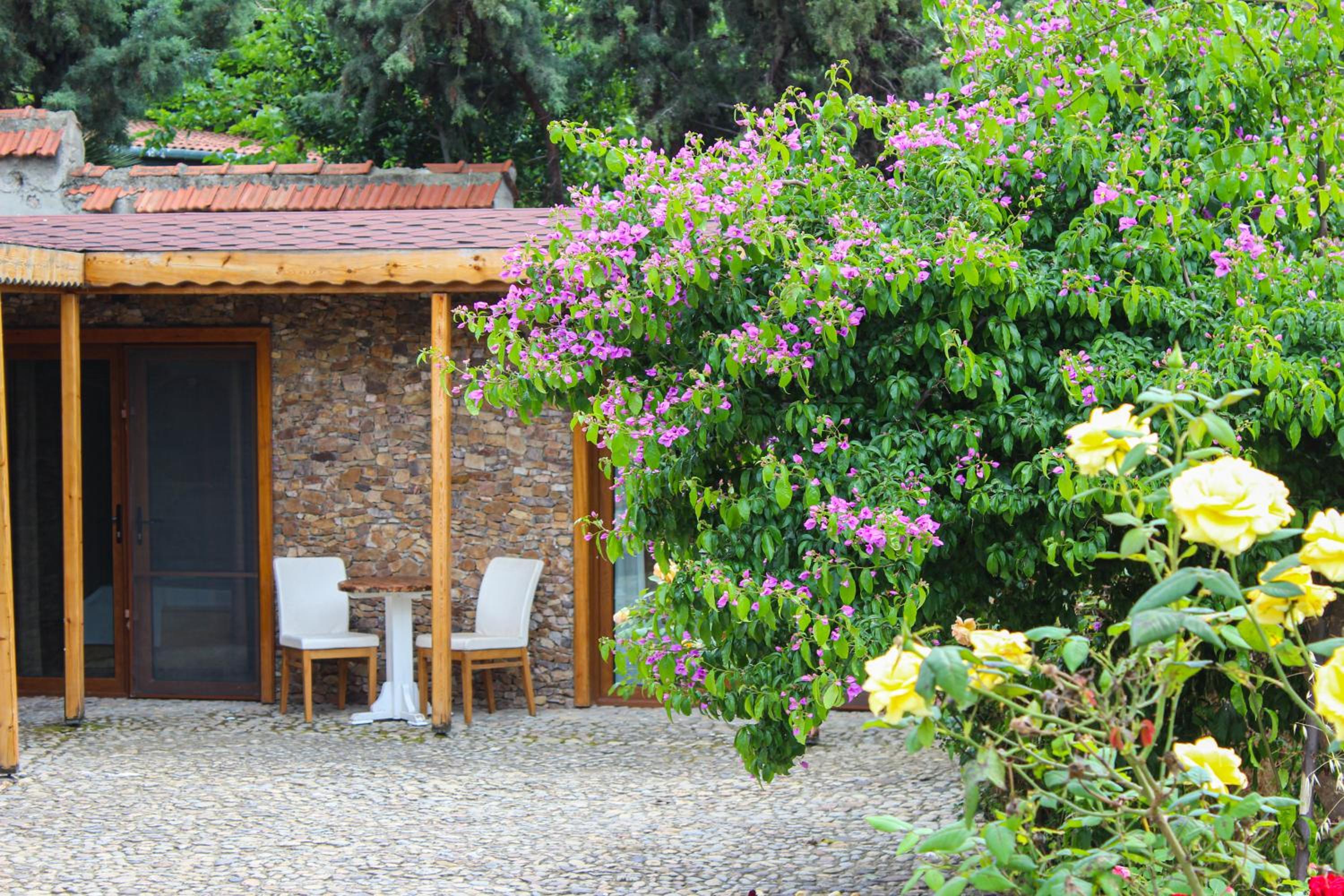Double Room with Patio photo 3