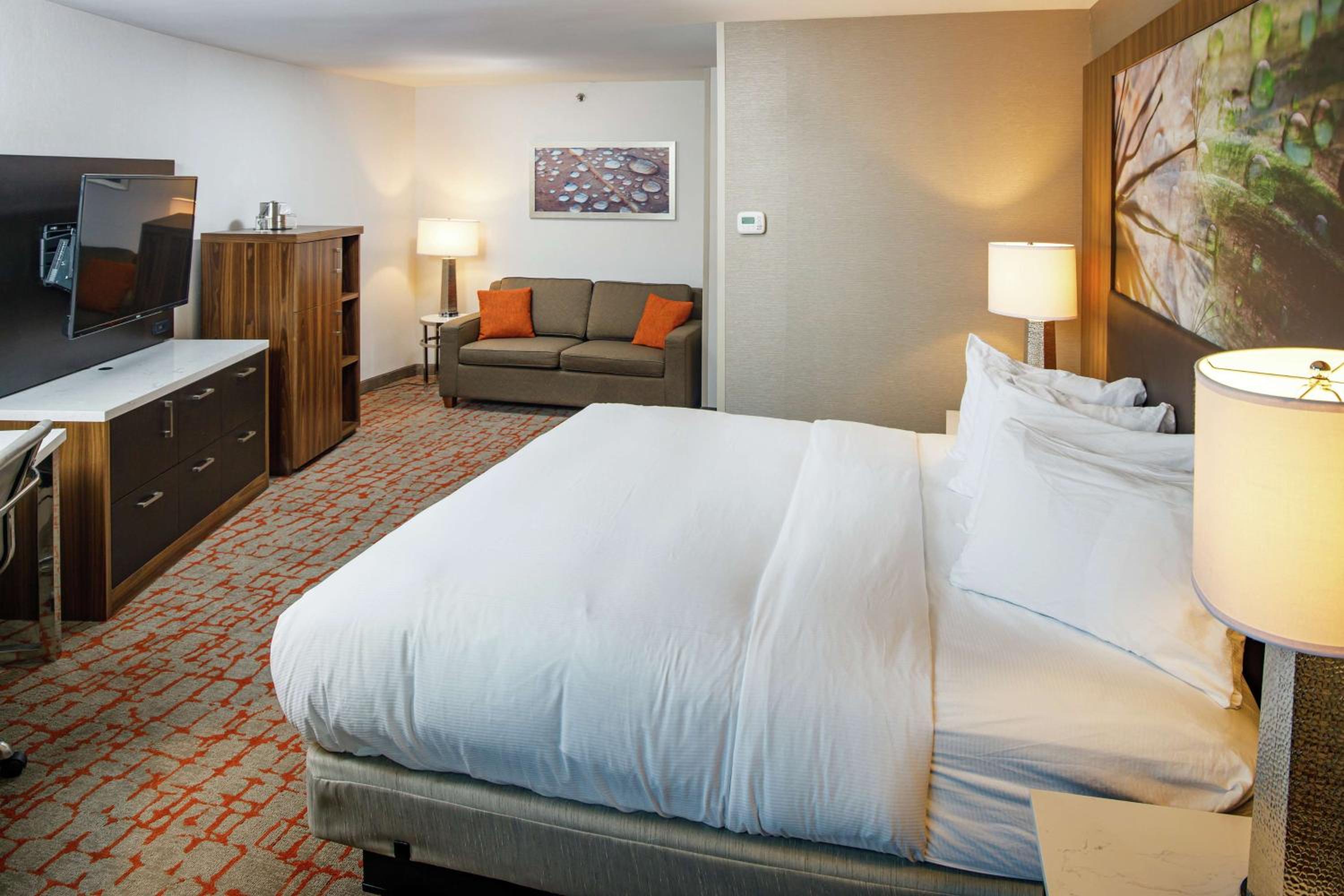 Junior King Suite - Photo 4
