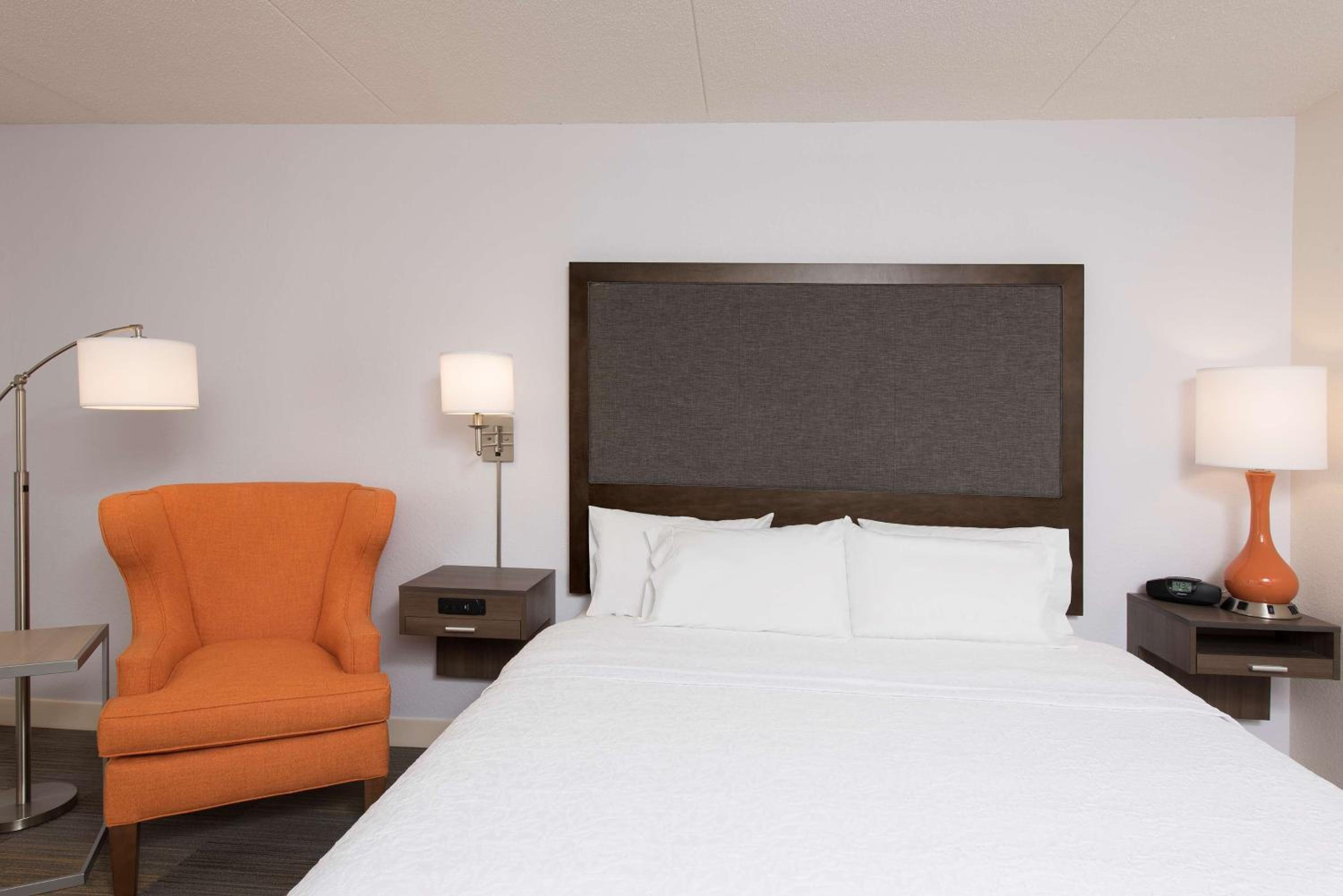 King Room with Accessible Tub - Mobility and Hearing Access/Non-Smoking - Photo 5