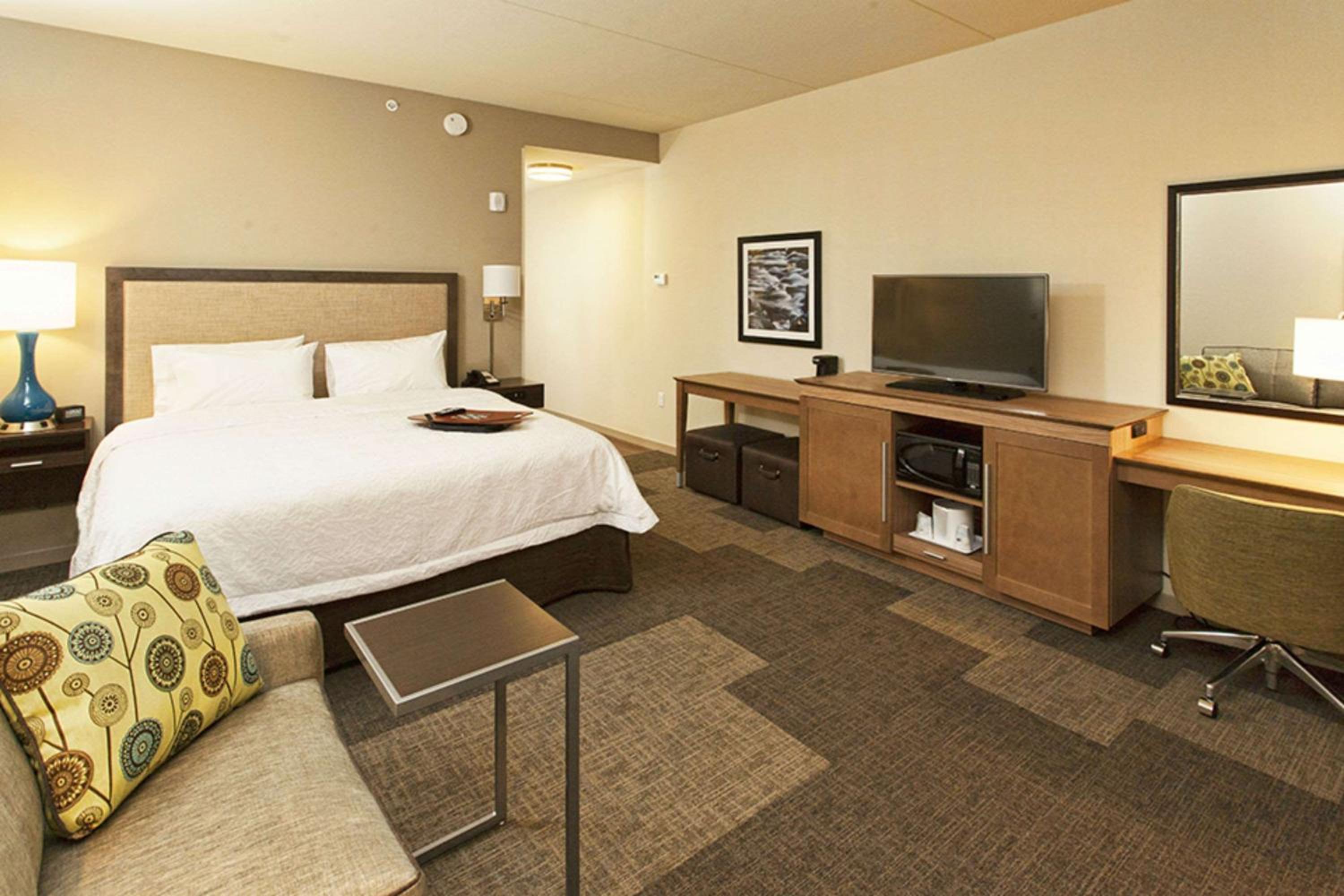 King Room with Sofa Bed - Hearing Accessible/Non-Smoking photo 2