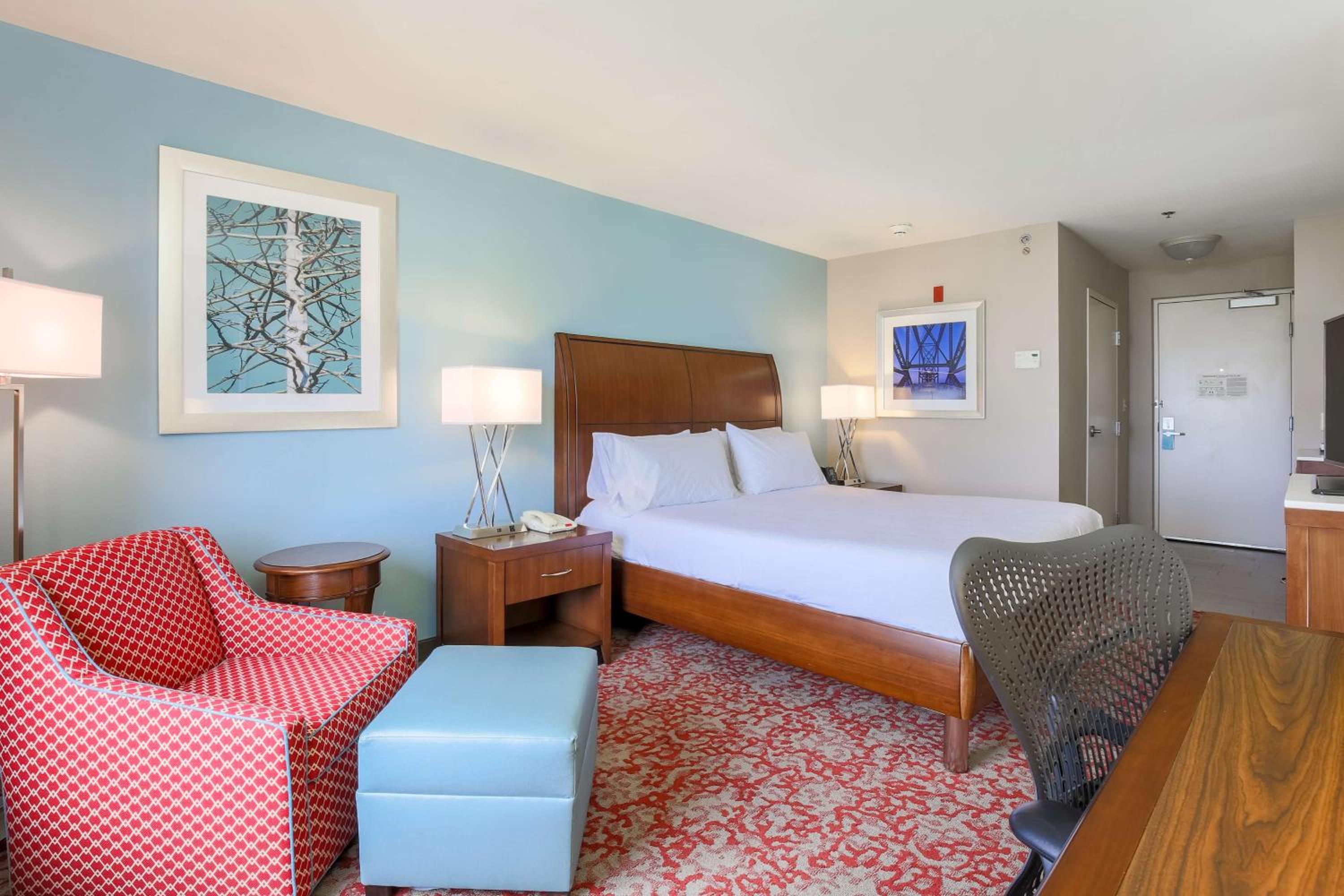 Evolution King Room - Photo 1