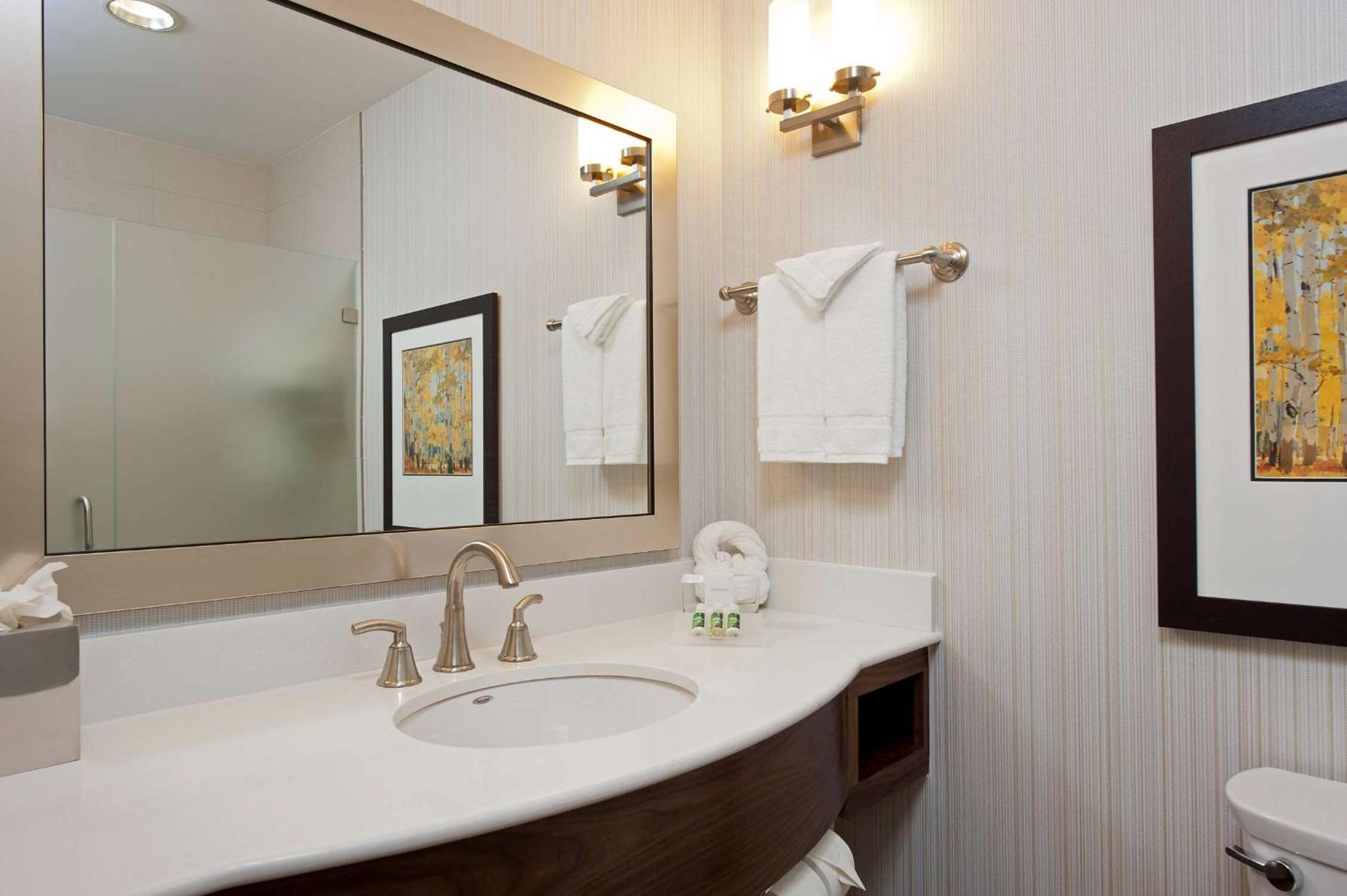 Deluxe King Suite photo 2