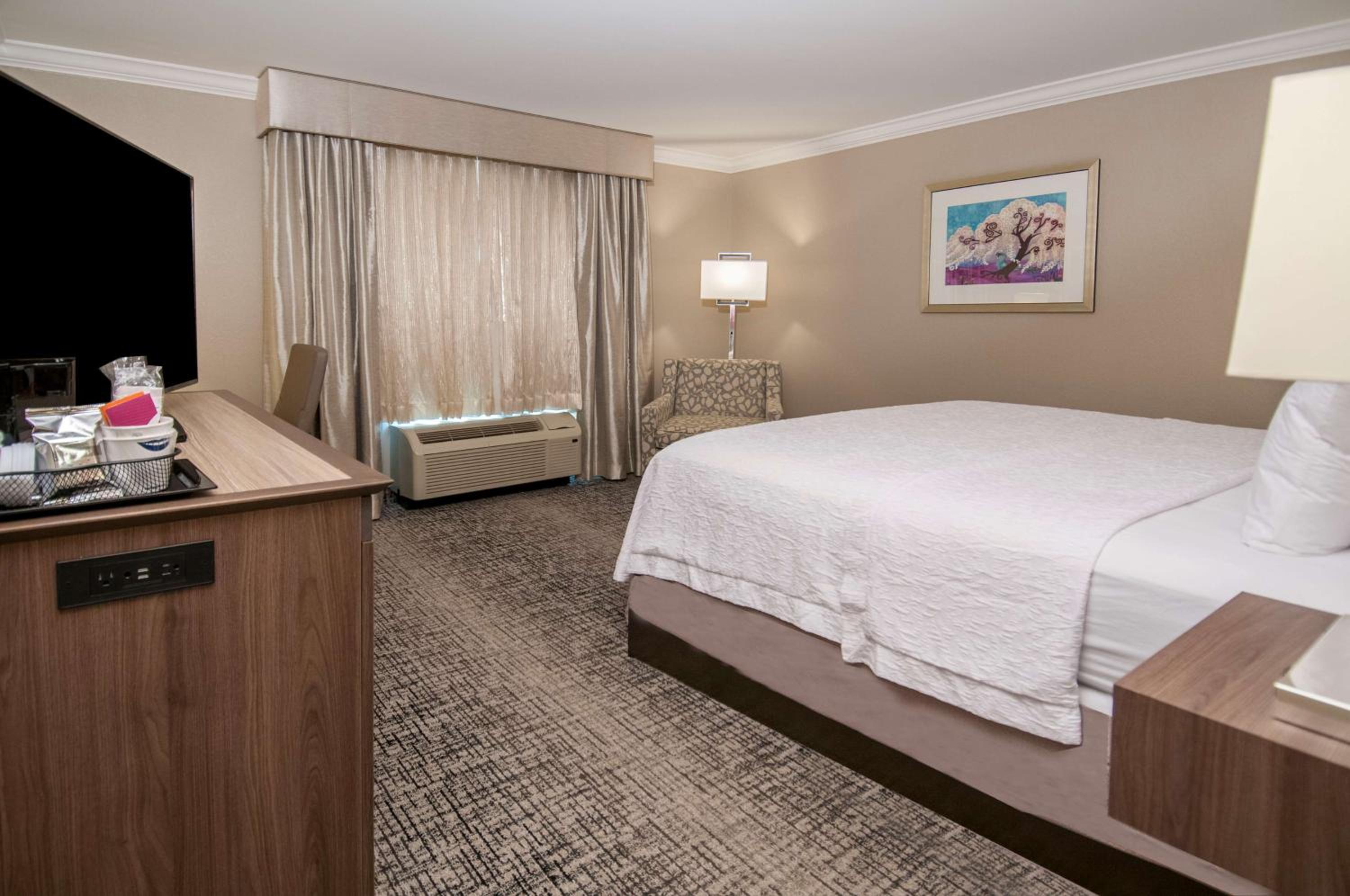 King Room photo 2