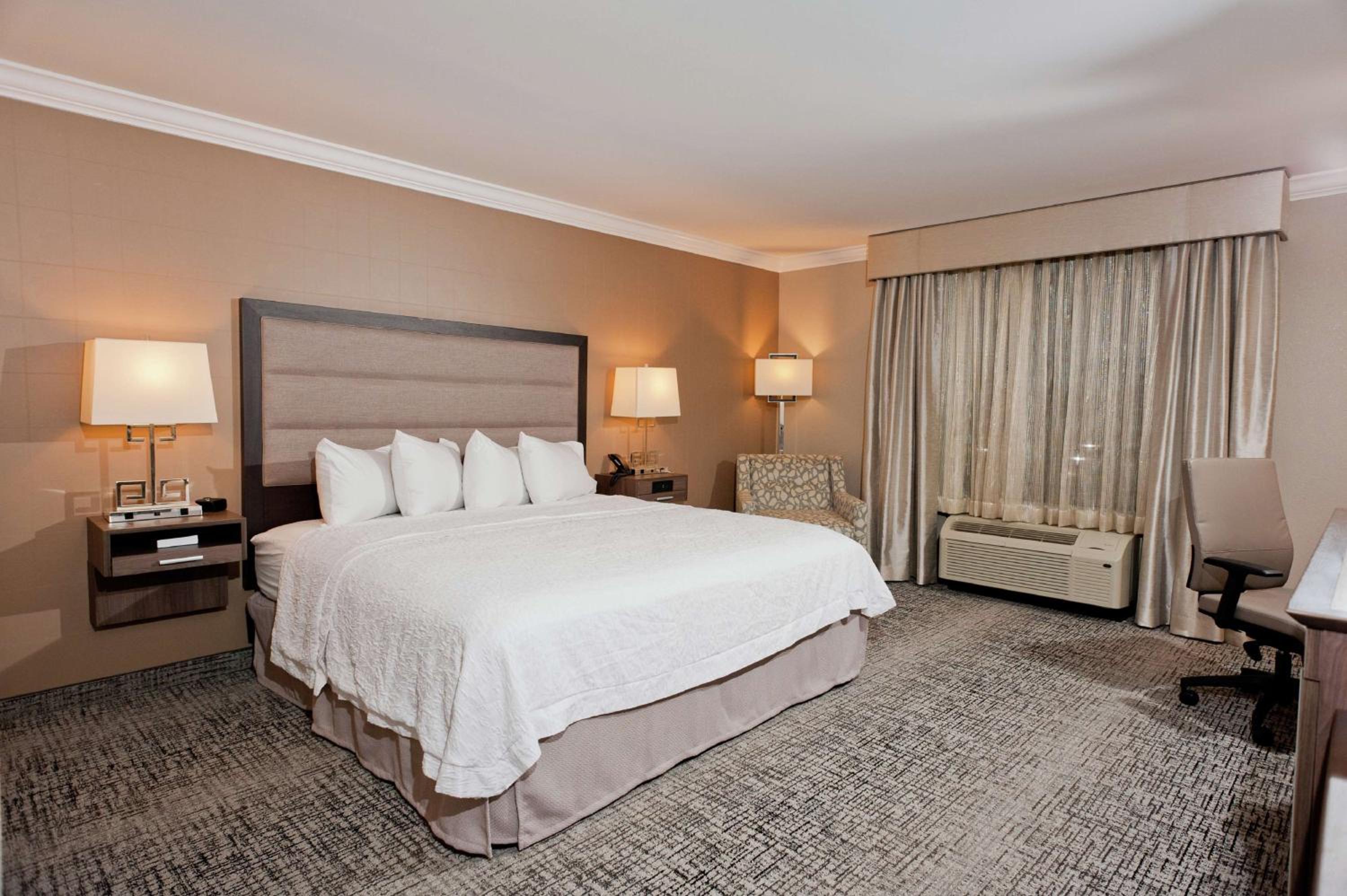 King Room photo 3