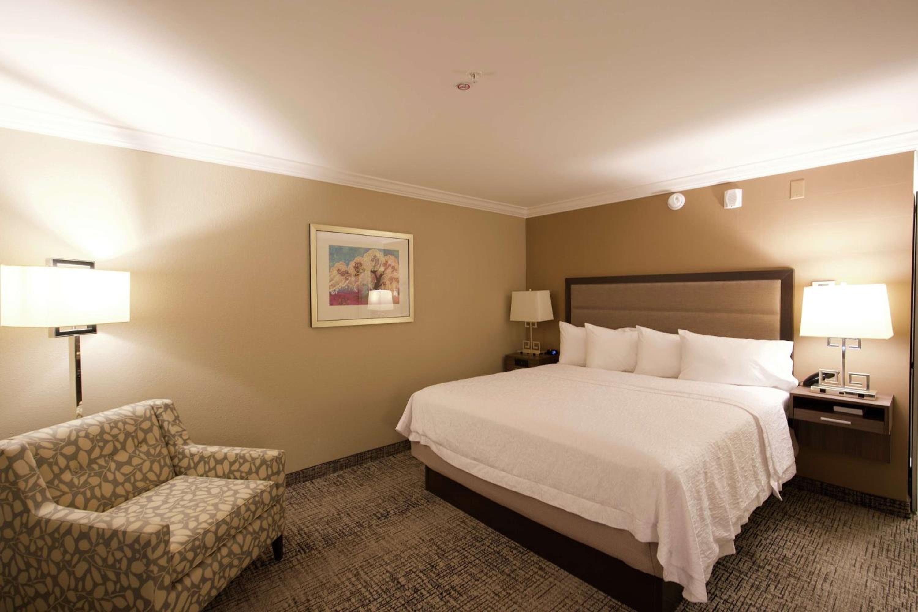 King Room with Accessible Tub - Mobility and Hearing Access/Non-Smoking photo 3