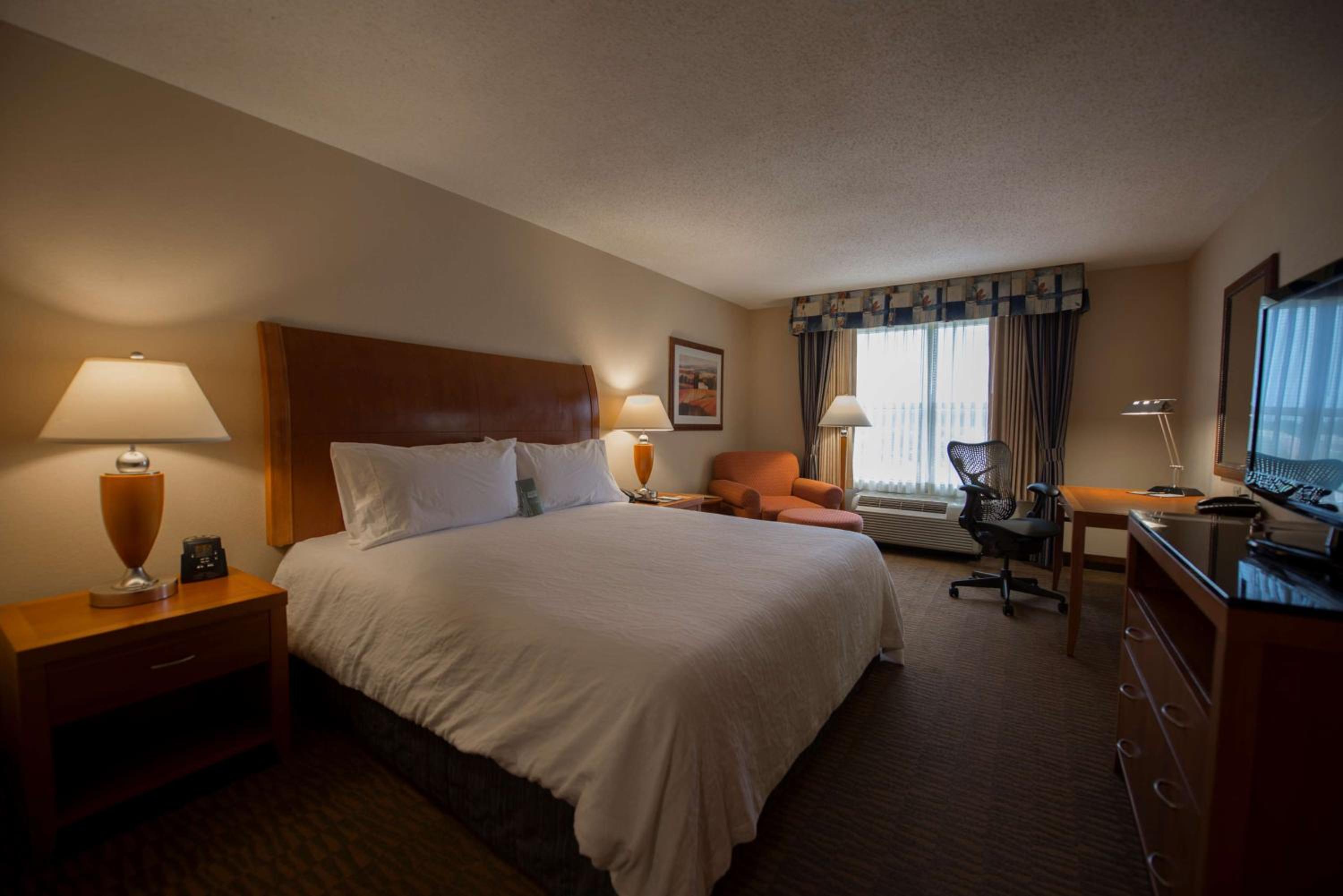 King Room - Photo 4
